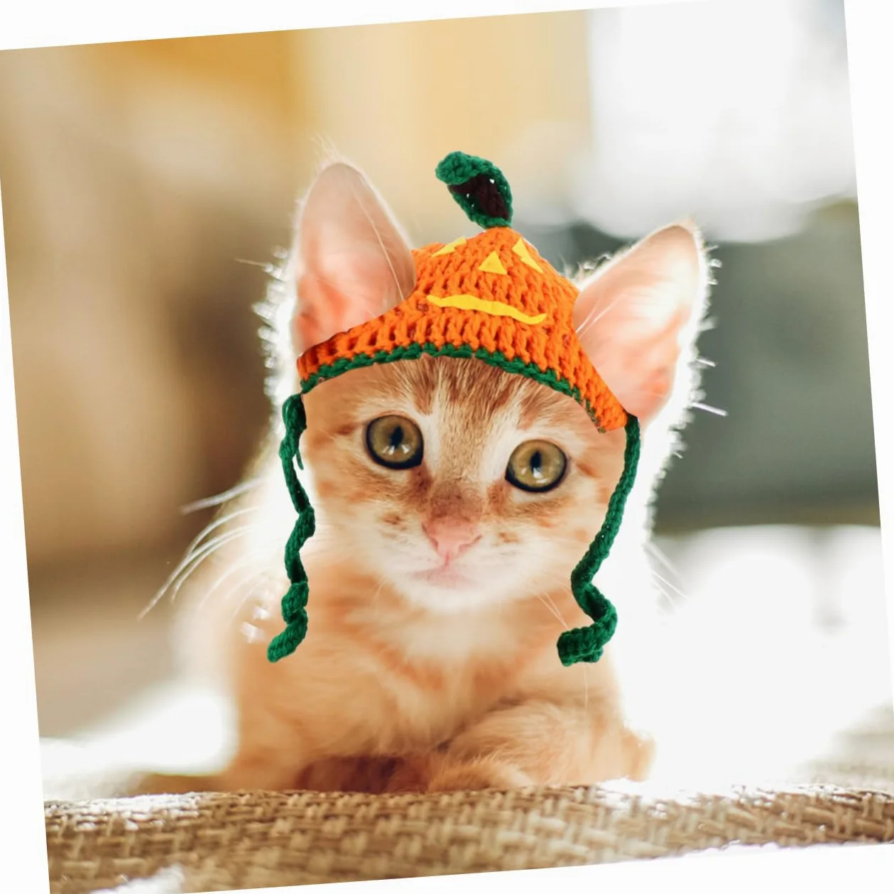 Sosoport 3 Pezzi Cappello Per Animali Domestici Di Halloween Cappello Esclusivo Per Animali Domestici Di Zucca Fatto A Mano Per Gatti