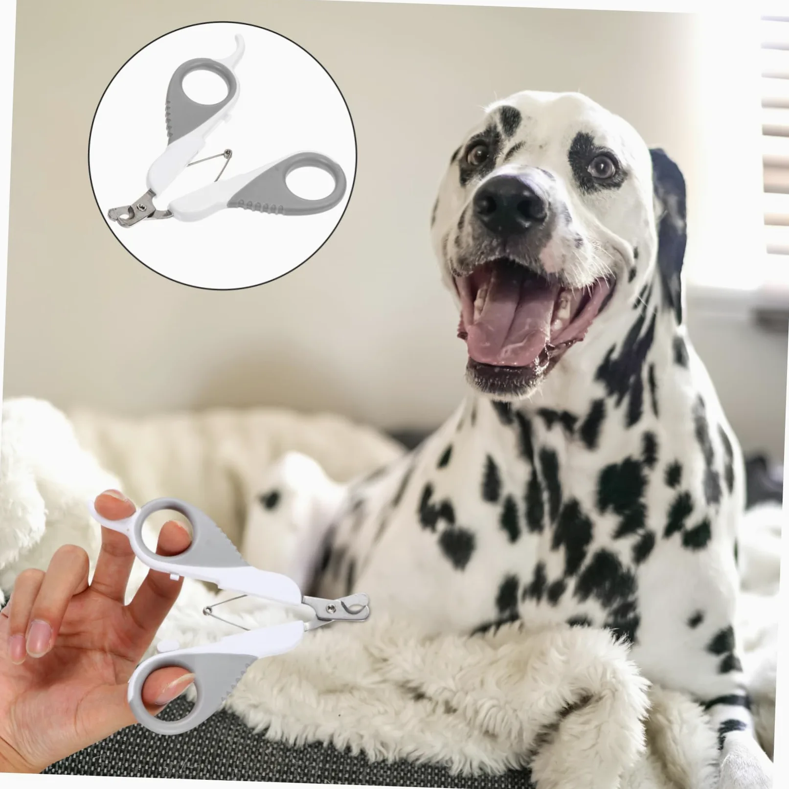 POPETPOP 3pezzi Cesoia per Unghie per Domestici Inossidabile Strumento Toelettatura Unghie del per Piccole e