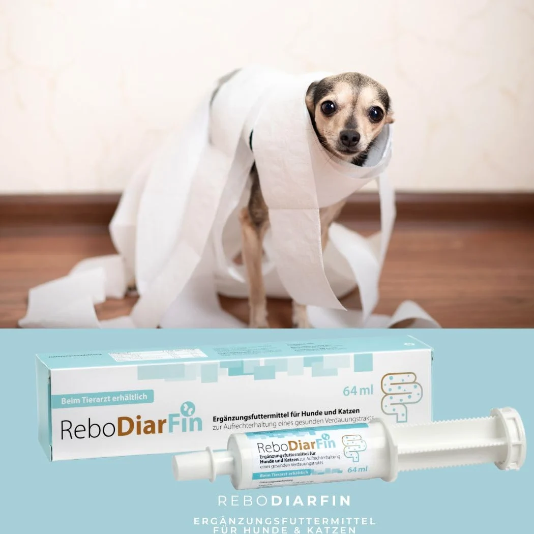Pasta digestiva ReboDiarFin per cani e gatti 64 ml: supporto per indigestione, con pectina e caolino, arricchito con peptide di glutammina, mix probiotici e prebiotici