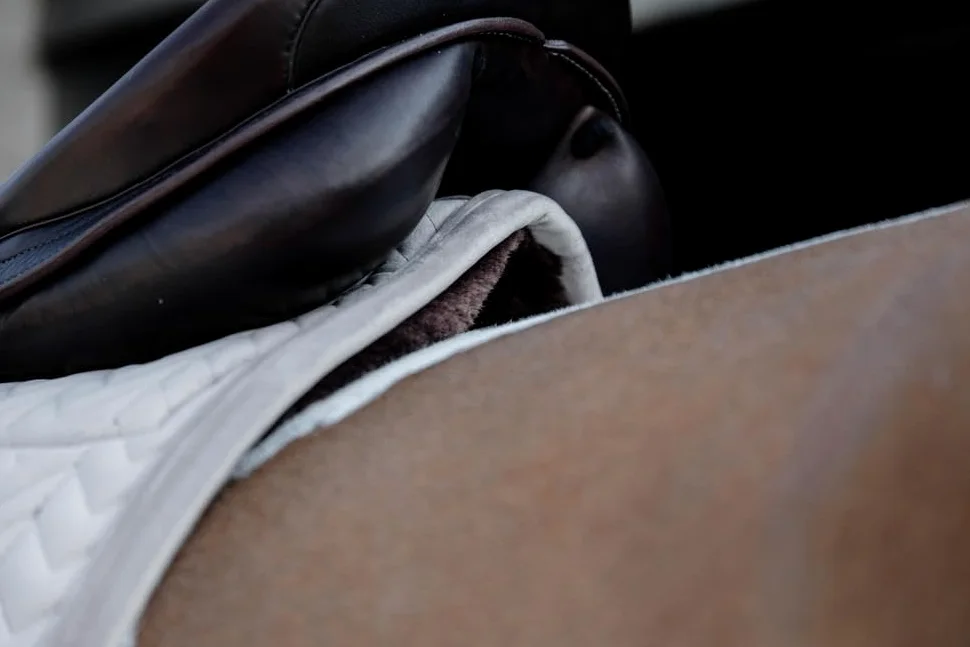 Kentucky Tappeto da Dressage per Cavalli Skin Friendly Velvet