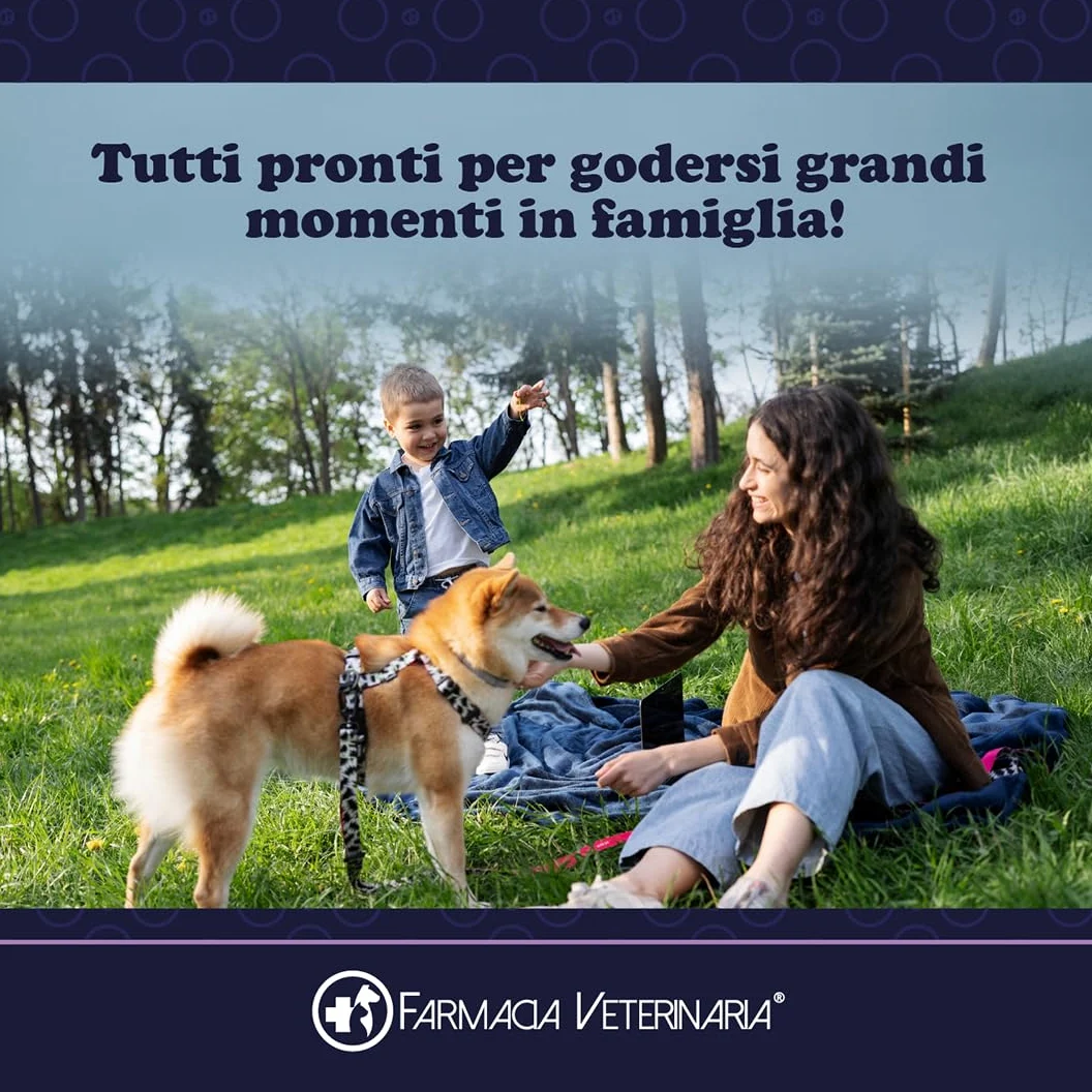 Farmacia Veterinaria Shampoo Secco per Cani - Privo di Parabeni e Coloranti - Shampoo per Cani Profumato e Senza Risciacquo - 250 ml, Prodotto in Italia