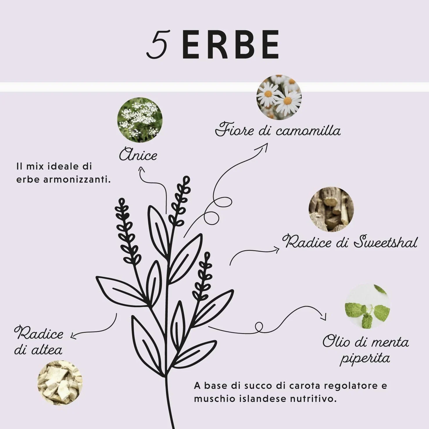 Liquido Gastro Intestinale per cavalli 1000 ml - Gastro Colon Vital per supportare la digestione, ad esempio in caso di diarrea - Erbe naturali per lo stomaco dei cavalli