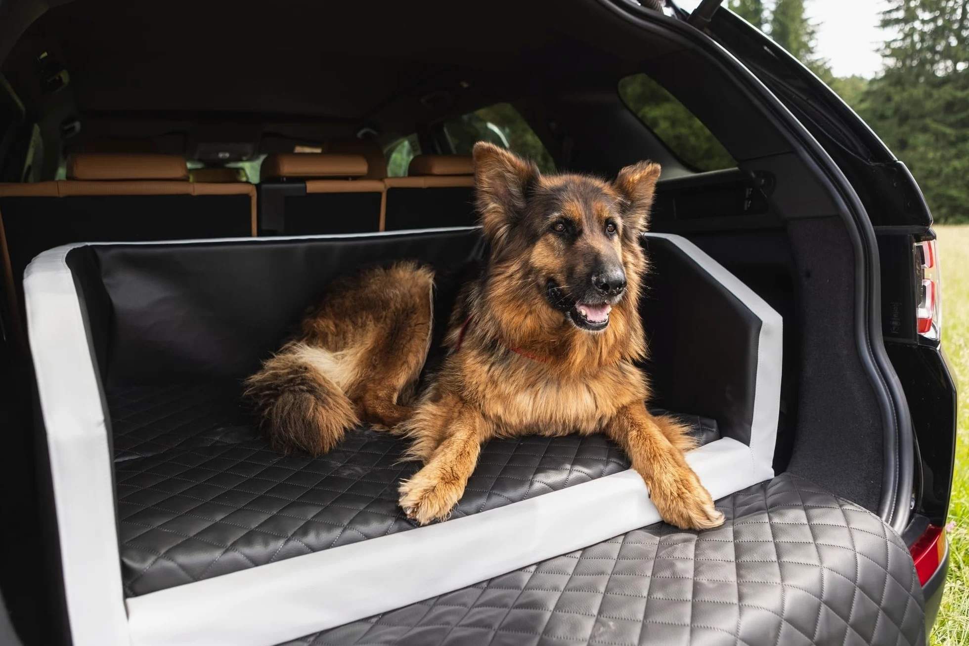 Velinda Trasportino Pieghevole per Cani Bagagliaio Auto Materasso Cintura 90x55 cm (Colore: Nero)