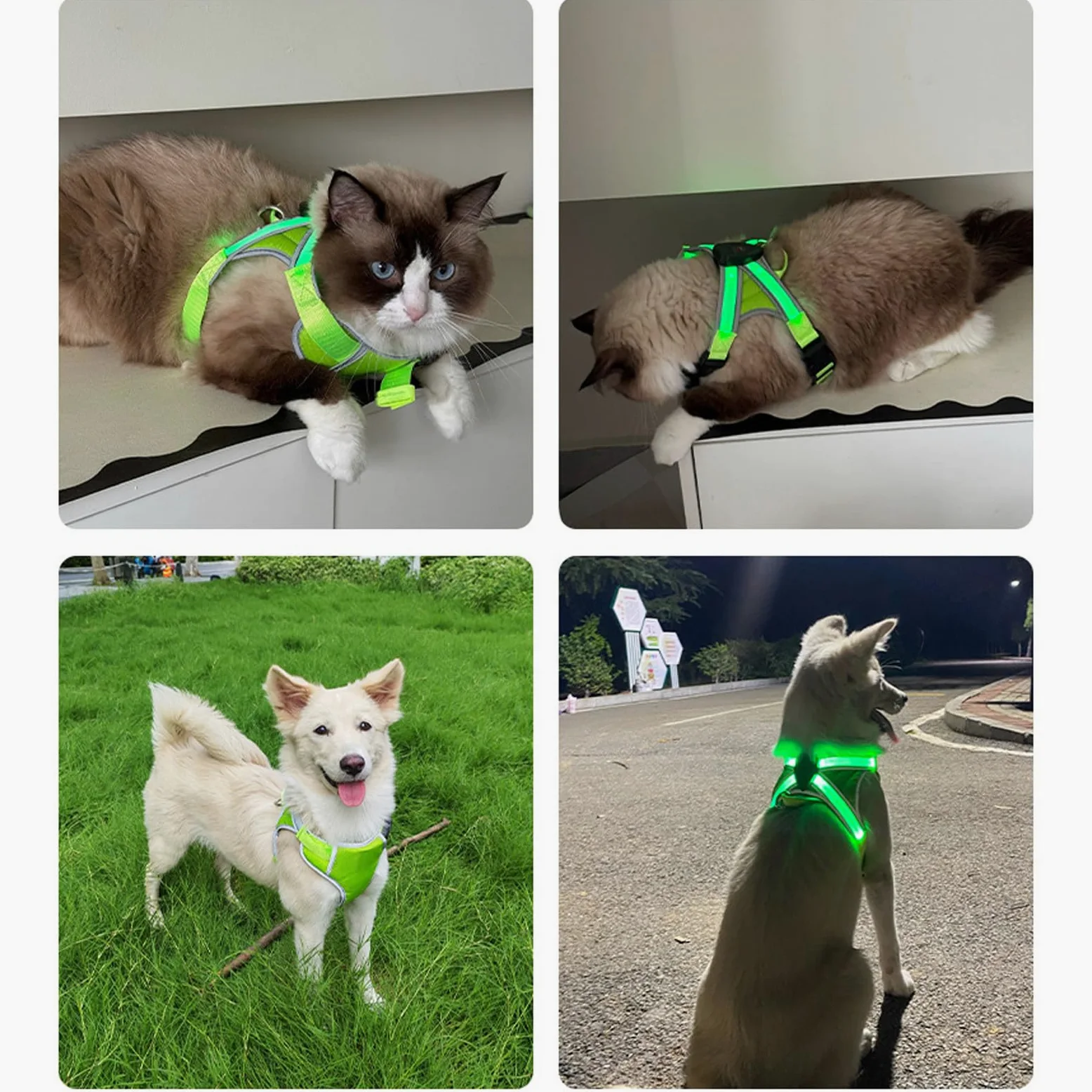 Imbracatura da addestramento per cani regolabile ricaricabile tramite USB con luce a LED per passeggiate, nuoto, escursionismo