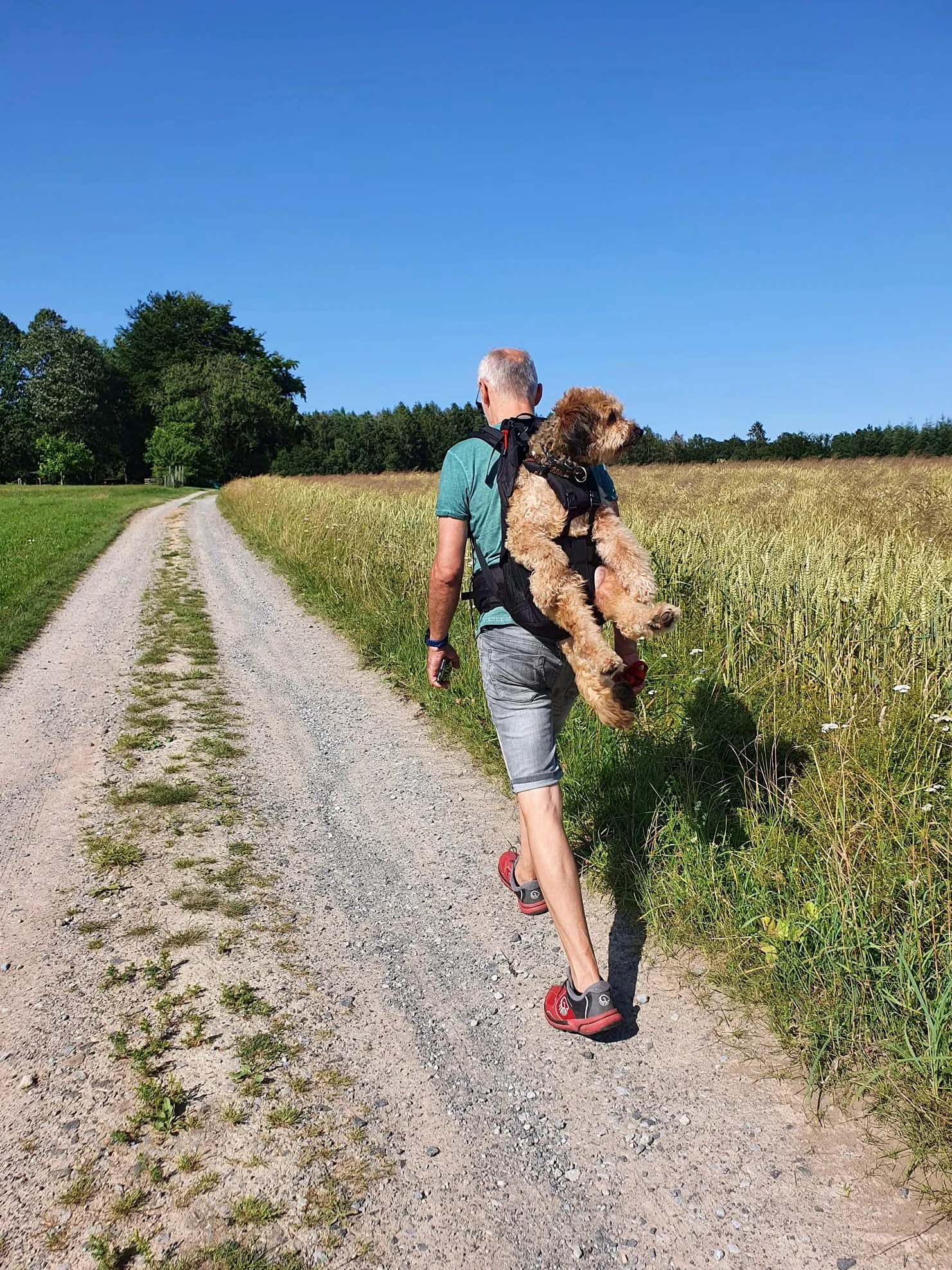 Dog Carrier - Zaino per cani da 9 a 18 kg