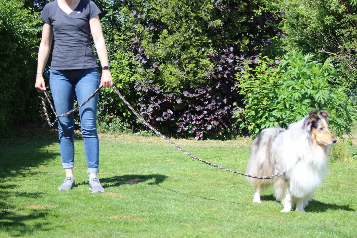 Guinzaglio per cani intrecciato, multilaterale, regolabile in 4 posizioni, lunghezza 2,80 m, rotondo, diametro 15 mm, per cani grandi e grandi, Made in Germany