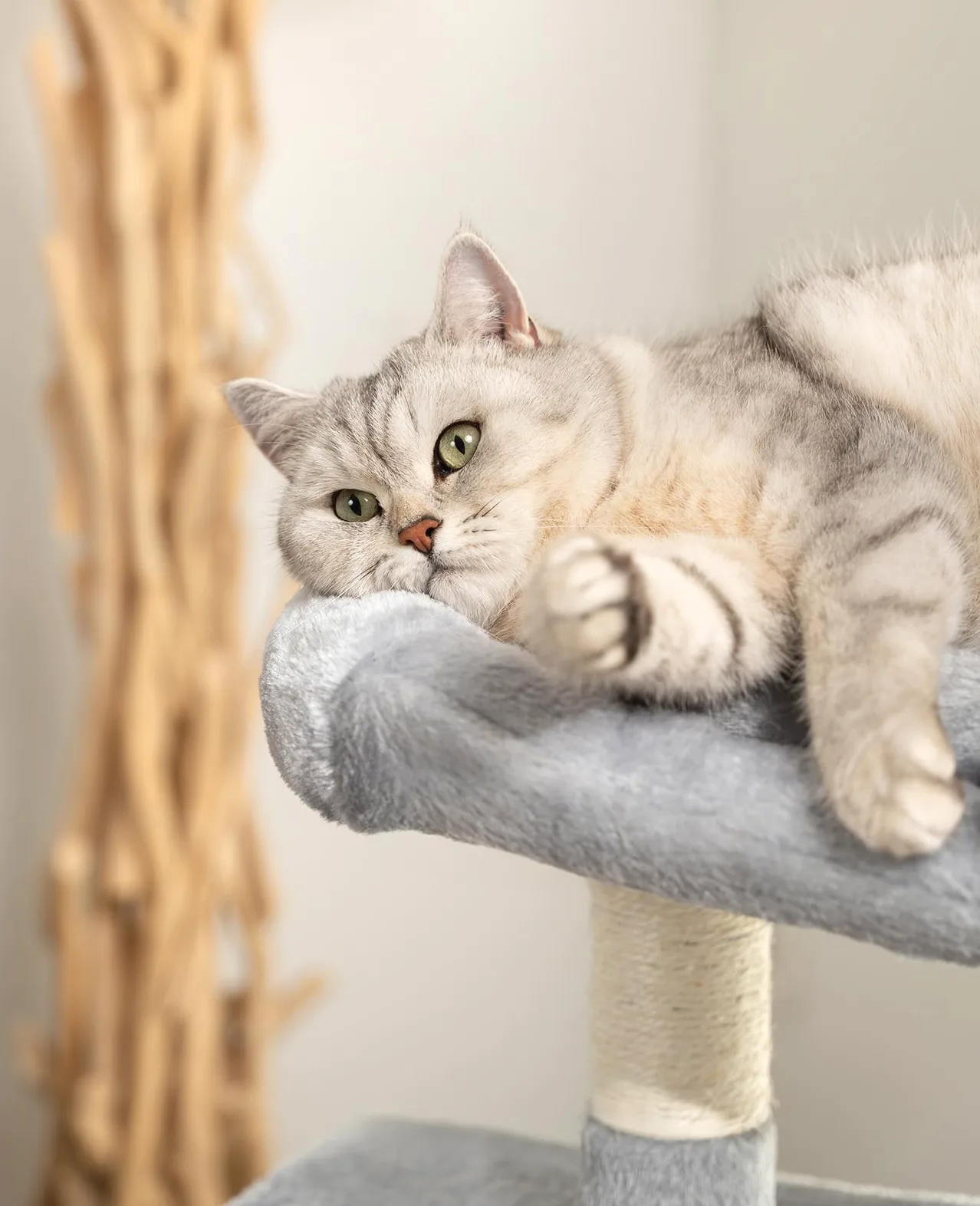 lionto Tiragraffi per Gatto Albero Tiragraffi Gatto Gioco Giocattolo Gatti Altezza 80 cm, Grigio Chiaro