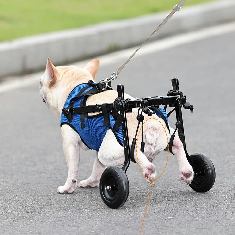Sedia a rotelle per cani, carrello regolabile per animali domestici per zampe posteriori, tutore per zampe e supporto per fianchi, aiuta i piccoli animali domestici con arti posteriori