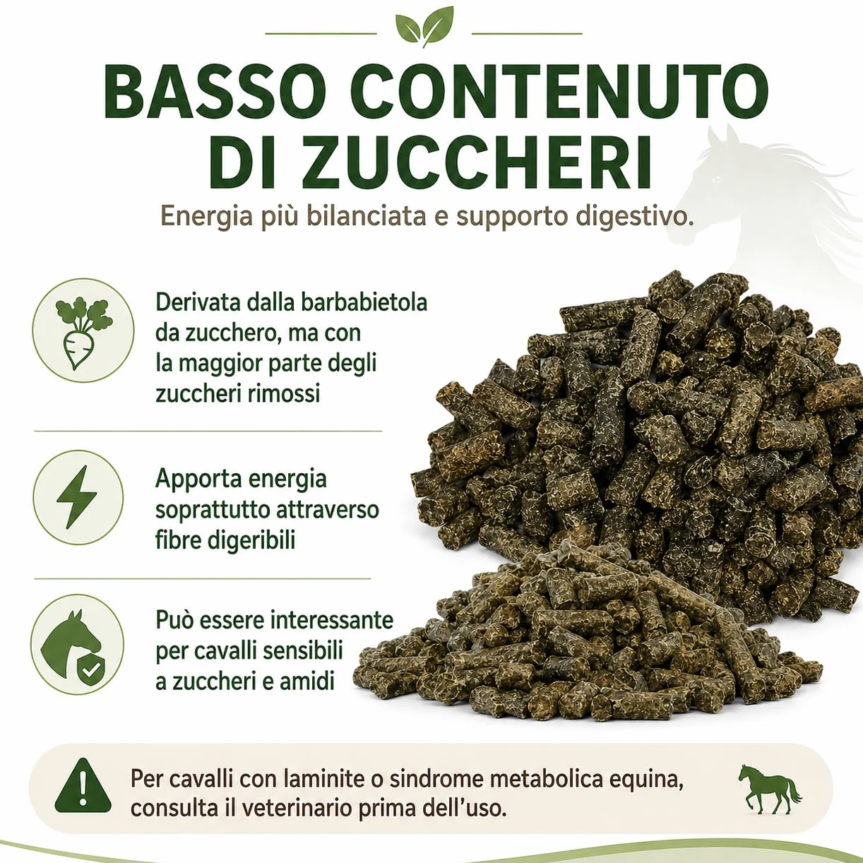 Polpa Barbabietola per cavalli | Polpa di Barbabietola per Ovini e Suini | Ottima per regolarizzare la motilità Intestinale - sacco da 25 kg