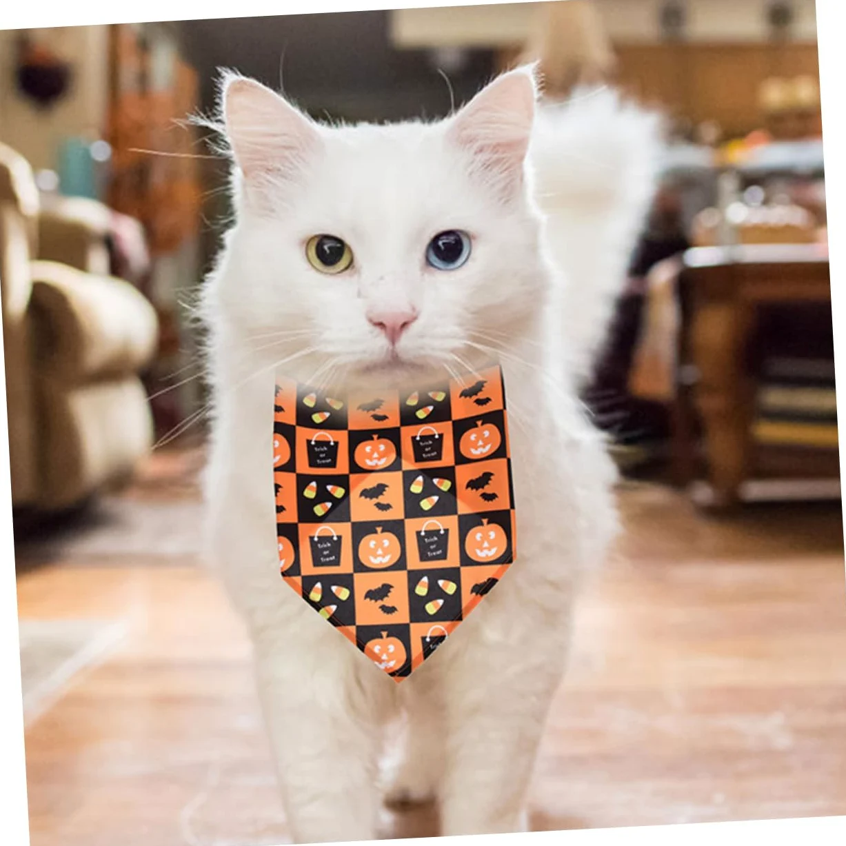 BESPORTBLE 10 PCS Pet Triangolo Asciugamano Vacanza Bandane per Cani Halloween Pet Sciarpa Halloween Cane Triangolo Sciarpa Bavaglini Silenziatore Sciarpa del Cane