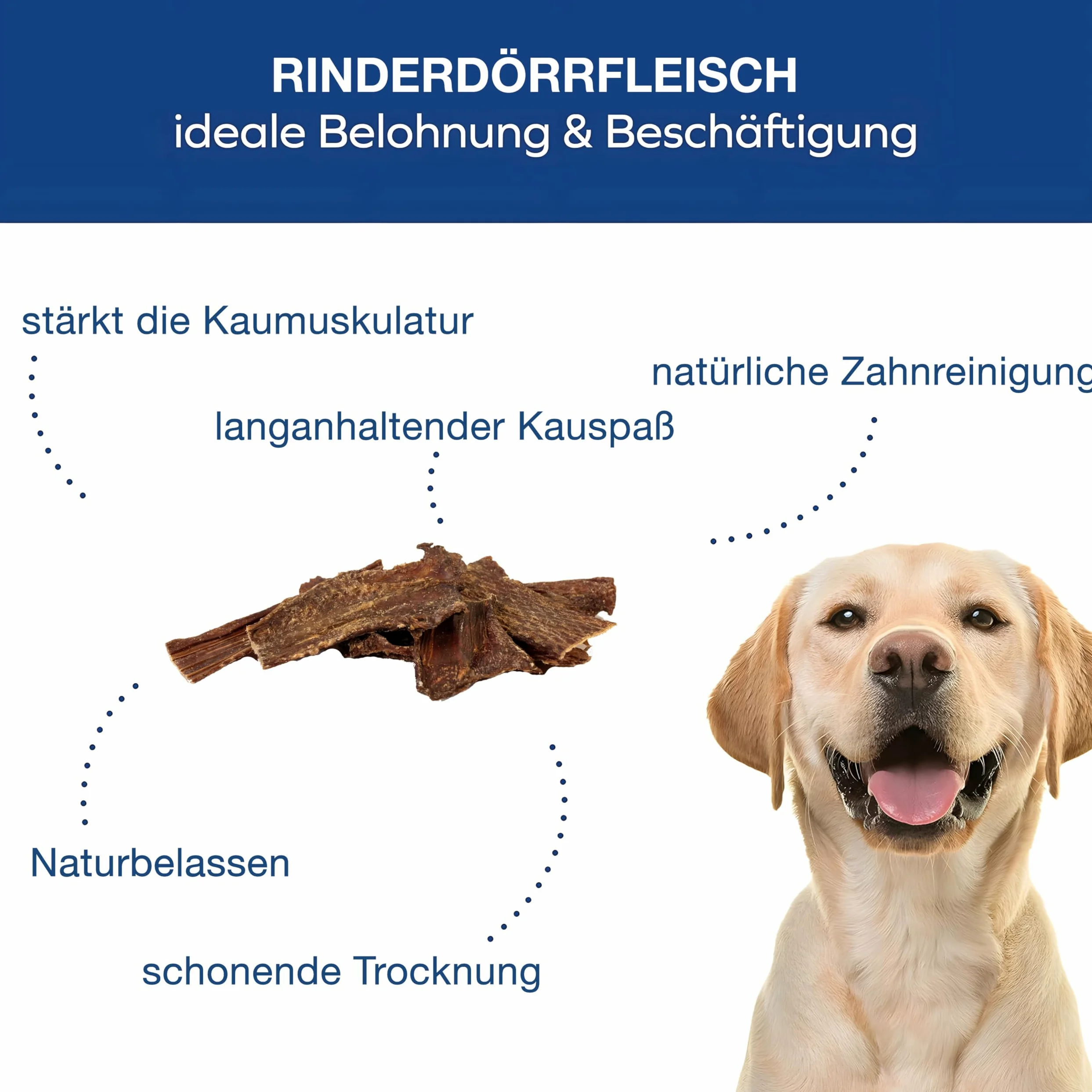 Carne secca di manzo per cani – 8 – 12 cm deliziose bastoncini da masticare – Deliziosi snack per cani in carne secca – 1000 g