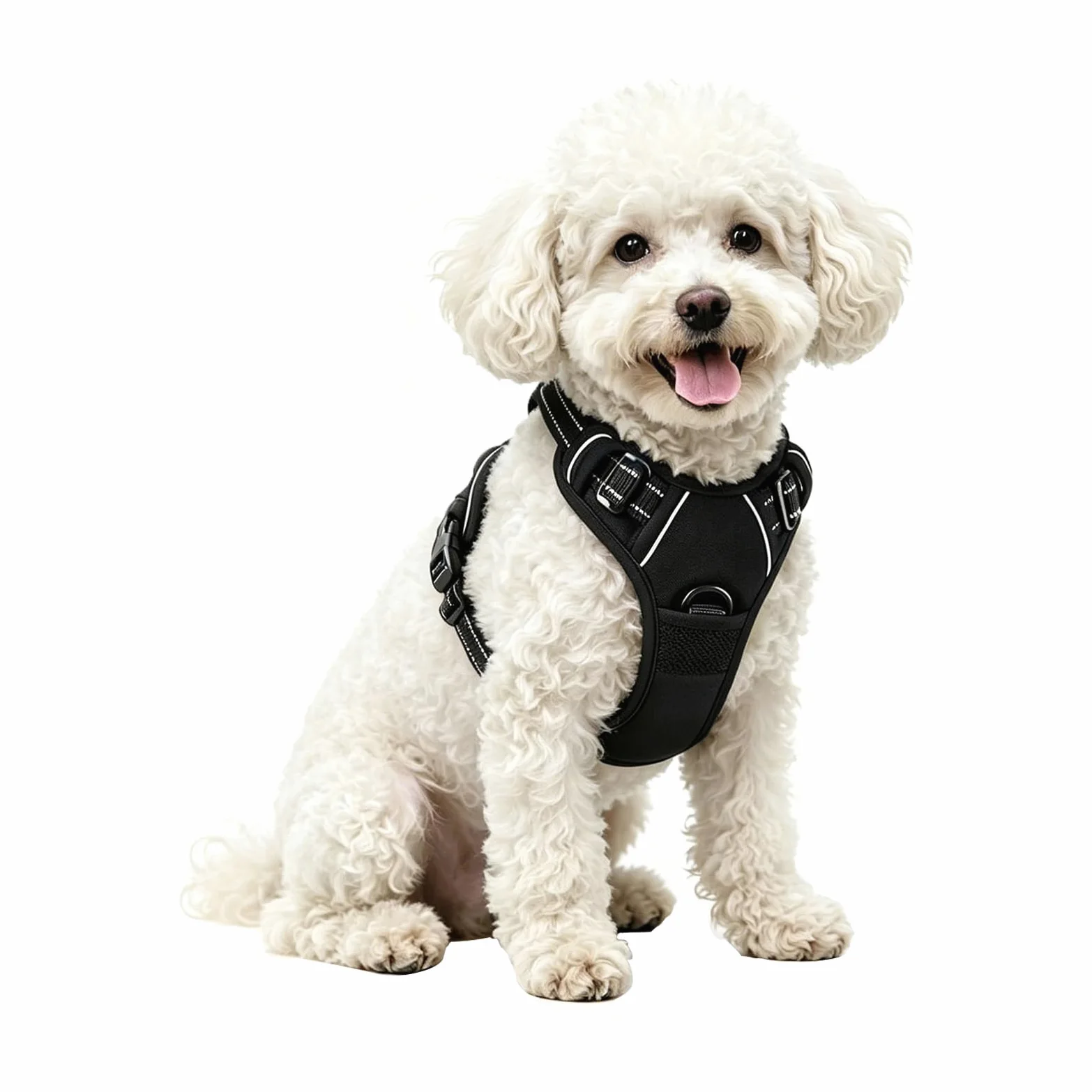 Pettorina regolabile riflettente No Pull pettorina per cani (S) | Traspirante imbottito, 4 taglie S-XL, cinghie regolabili, sicurezza al buio, per passeggiate e allenamento, nero