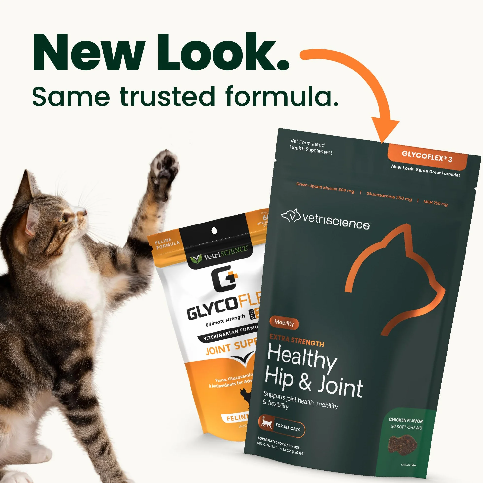 Vetri-Science Laboratories Glyco Flex 3 Anca e Giunti supplemento per Gatti, Bite Sized Chews