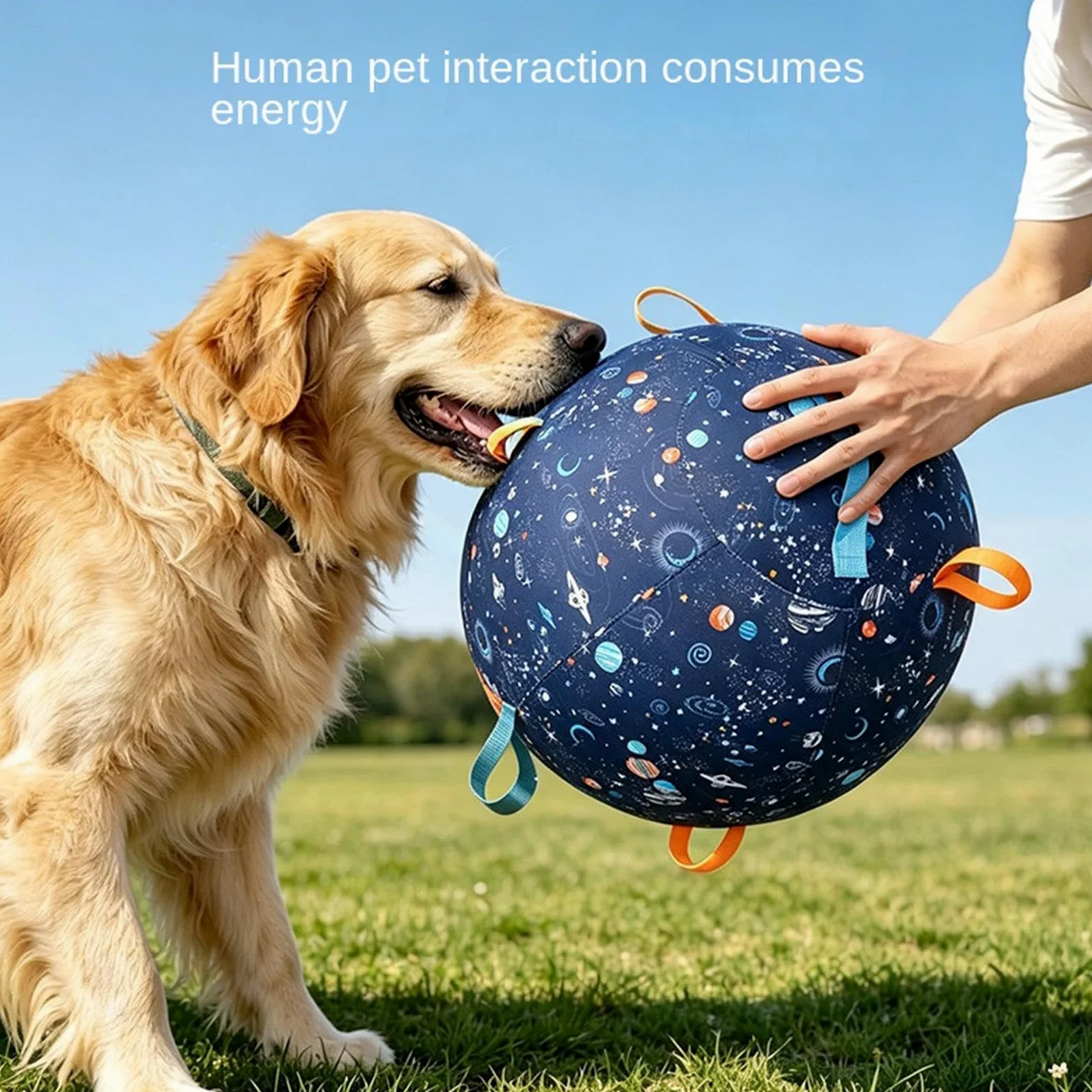 Palla Da Pascolo Per Cani Grande Forniture Interattive Antiscoppio Interno | Palla Istintiva Interattiva Per Masticatori Aggressivi: Stimolazione E