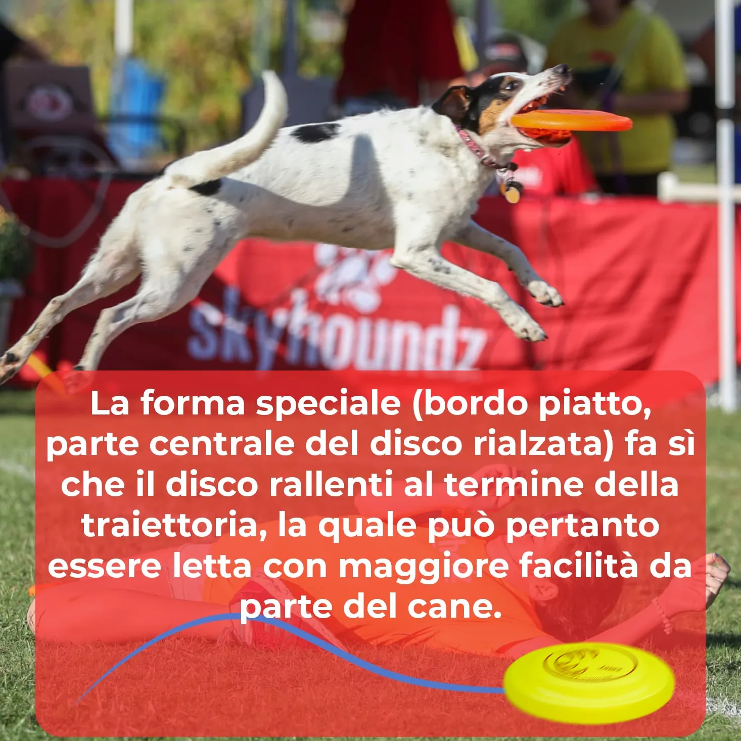 Hyperflite K10 Jawz Frisbee Resistente Morso per Cani per Discdogging - Giallo