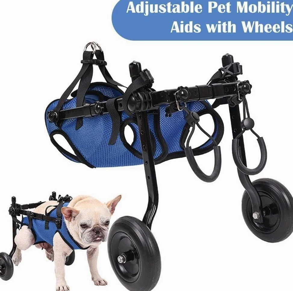 Sedia A Rotelle Per Cani Di Piccola Taglia, Carrello Per Cani Regolabile A 2 Ruote, Riabilitazione Delle Gambe, Strumenti Per Passeggiate Con Animali Domestici, Sedia A Rotelle Per Animali Domestici