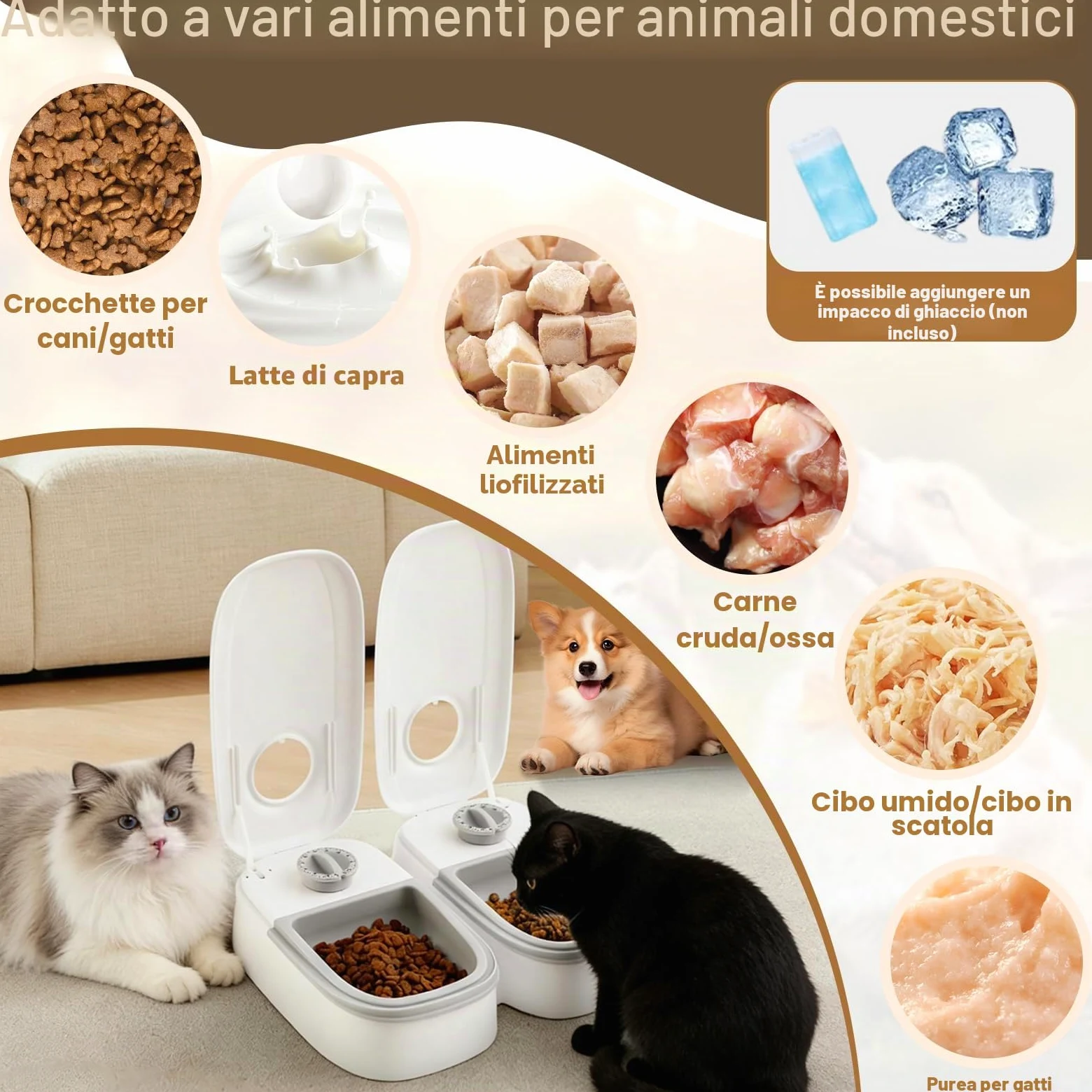 Distributore Automatico Cibo Gatti con Timer 48 ore, Dispenser Crocchette Gatto Cane 700 ml Lavabile, Mangiatoia Automatica per Animali Domestici, Alimentatore per Secco e Umido Gatti Cani di Piccola