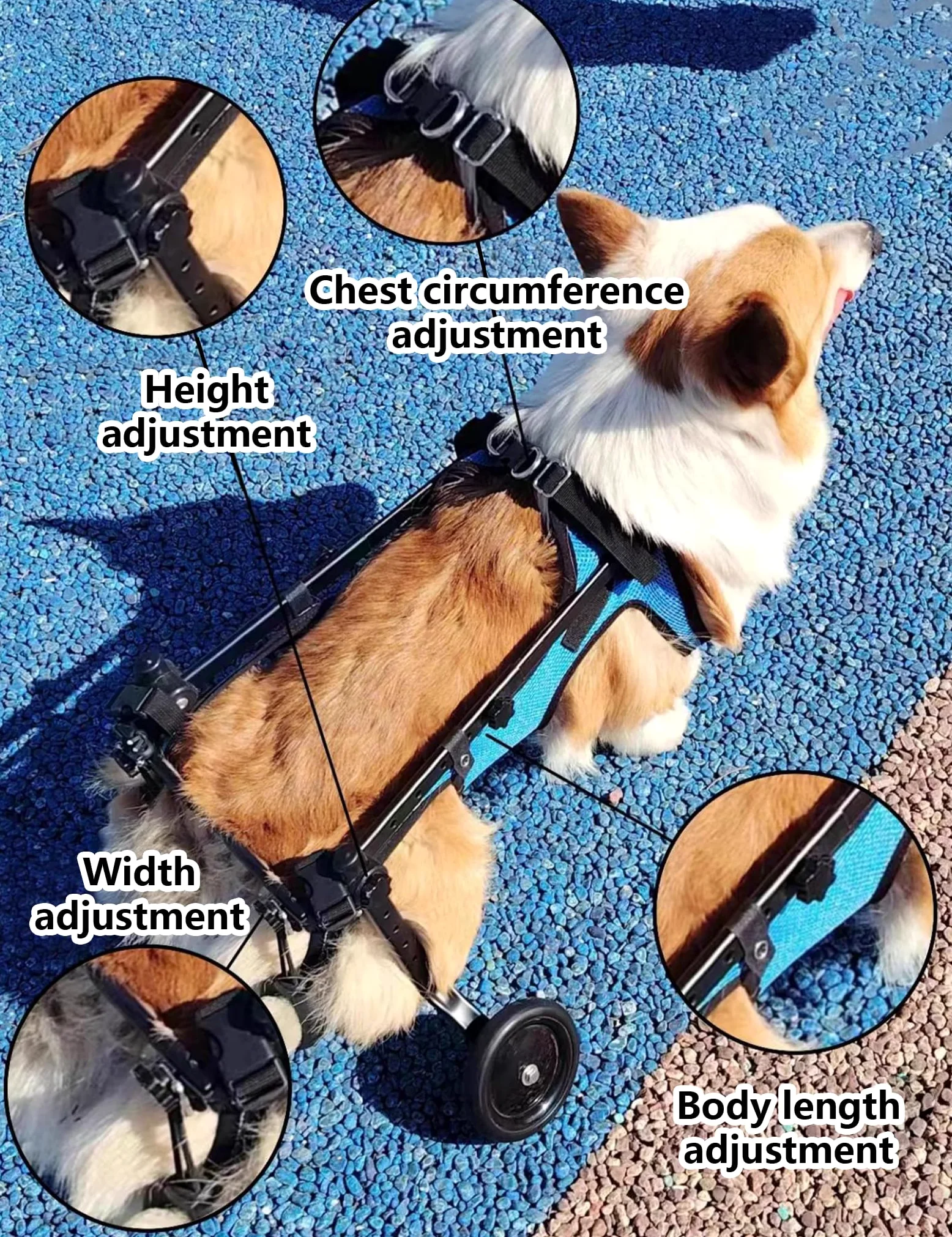 Carrellino per Cani Disabili per Zampe Posteriori, Sedia a Rotelle per Cani Regolabile, Supporto per la Mobilità in Lega di Alluminio Leggera