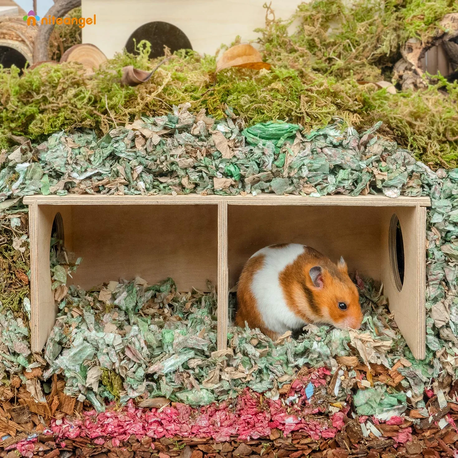 Niteangel - Capanno segreto per criceti con 2 camere e tunnel, Large - for Syrian Hamster