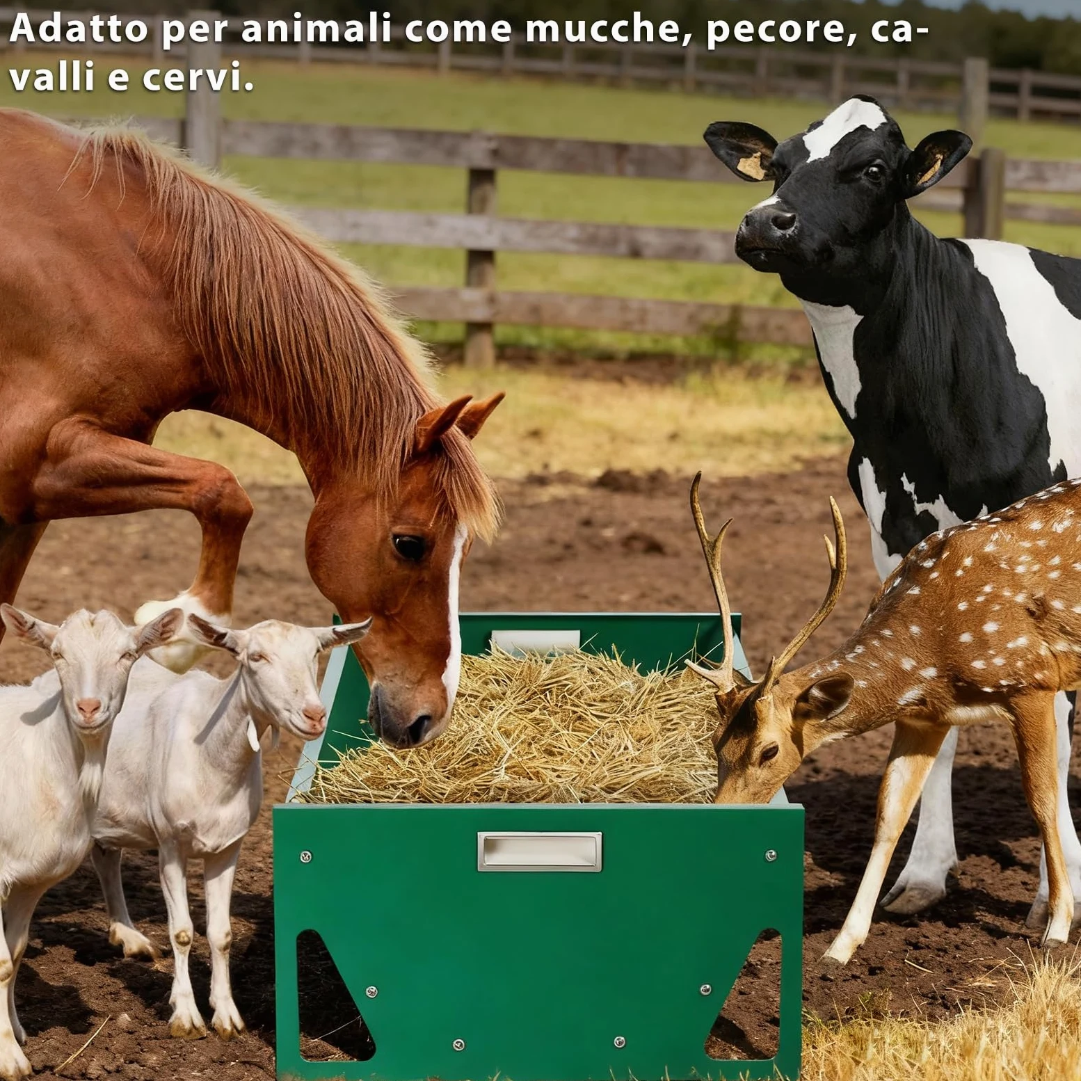 Mangiatoia Cavalli Acciaio Zincato 100cm Grande Capacità Attrezzature per Allevamento Resistente Facile da Pulire Mangiatoia per Bovini per Capre Bovini Maiali Bovini Capannoni di Allevamenti