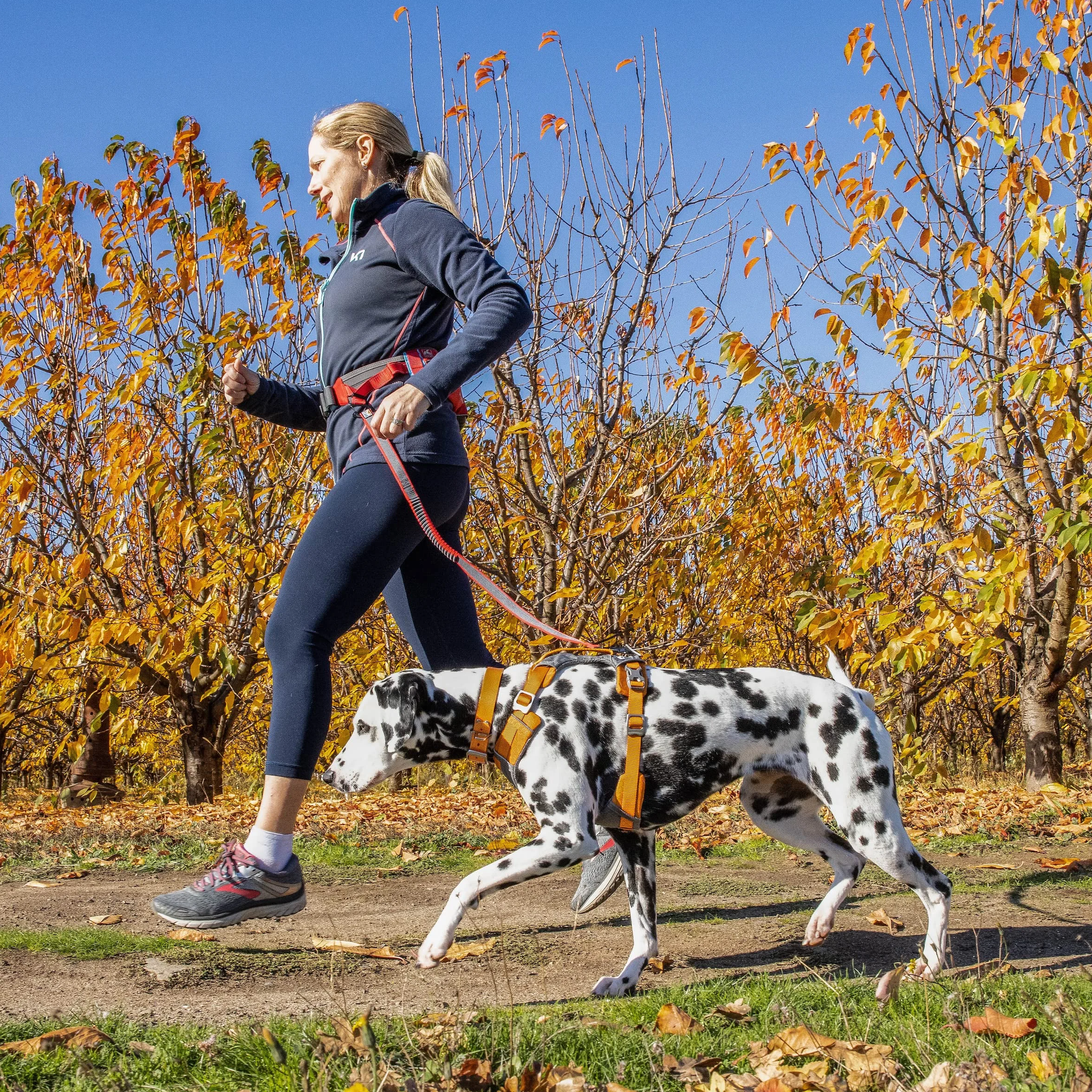 Kurgo Journey Air, Pettorina per cani, pettorina per cani, imbracatura da trekking per animali domestici, per corsa e passeggiate, riflettente, imbottita, include maniglia di controllo, clip frontale