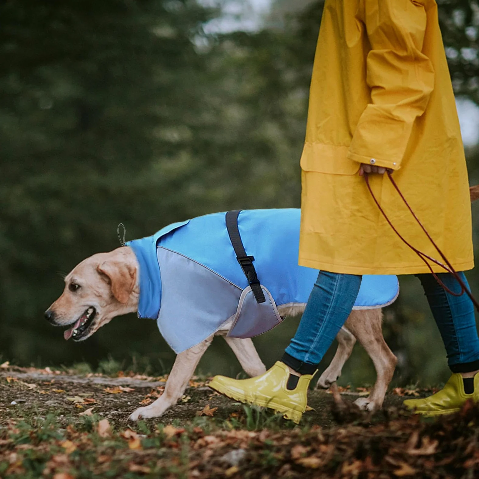 Impermeabile Per Cani Leggero Copertura Totale | Impermeabile per Cani Per Attività all'Aperto Camminata Jogging Escursionismo