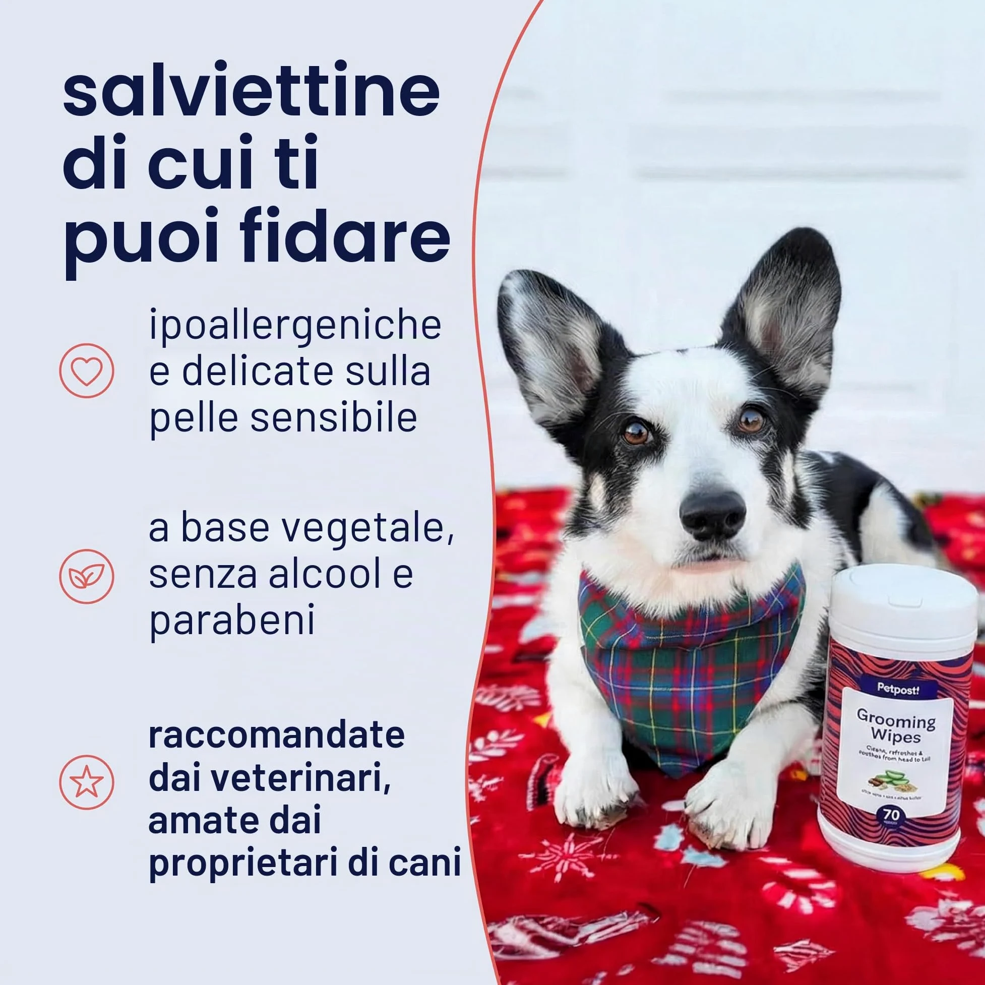 Petpost | Salviette per la Pulizia dei Cani - Salviette Grandi e Deodoranti al Profumo di Fiori di Ciliegio - 70 Tamponi in Cotone Ultra Morbido con Soluzione Detergente (Fiori di Ciliegio)