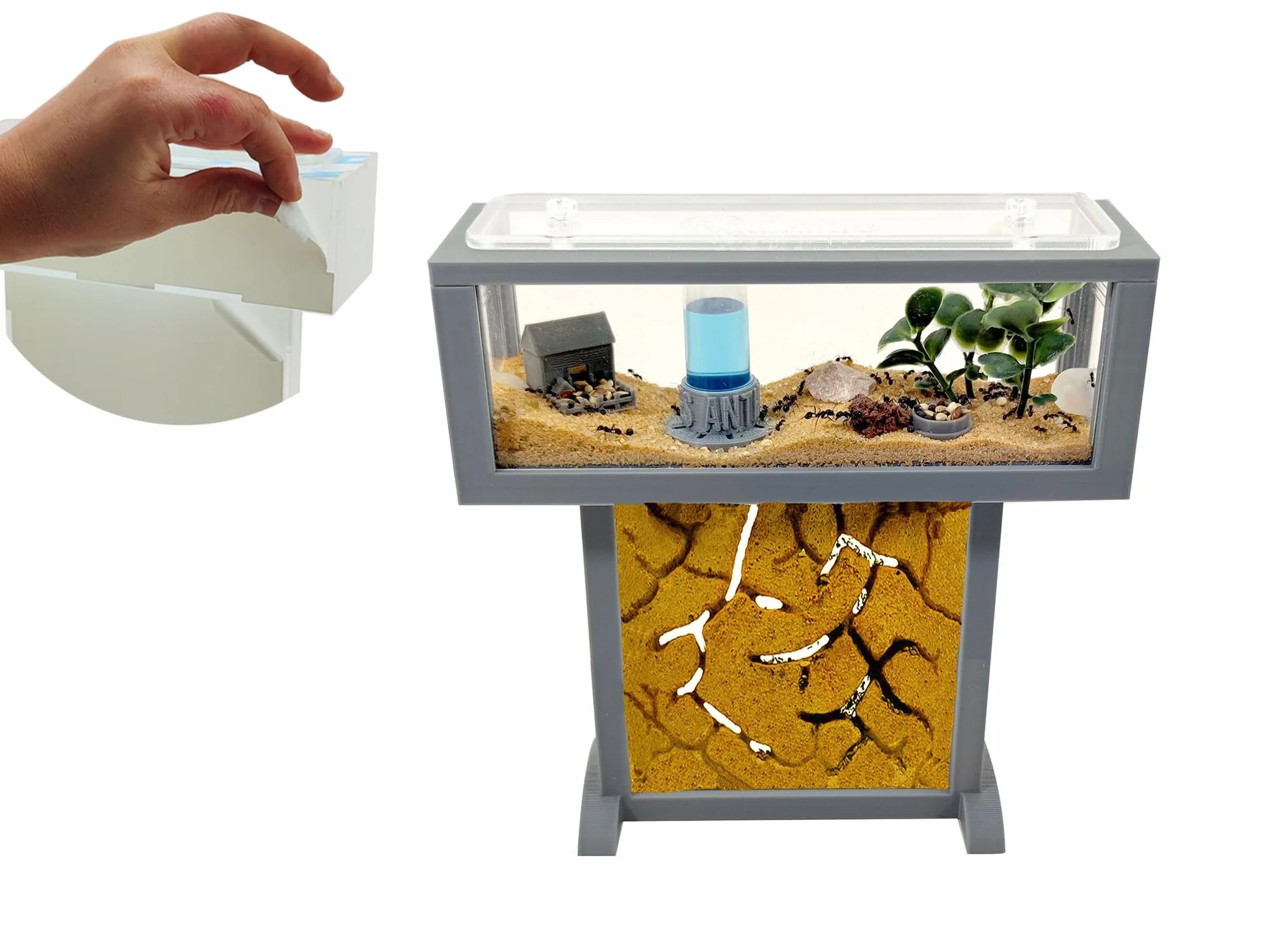 Kit per formiche T- Mini di sabbia naturale, 15 x 5 x 16 cm, formiche gratis incluse┃da 20-30 formiche