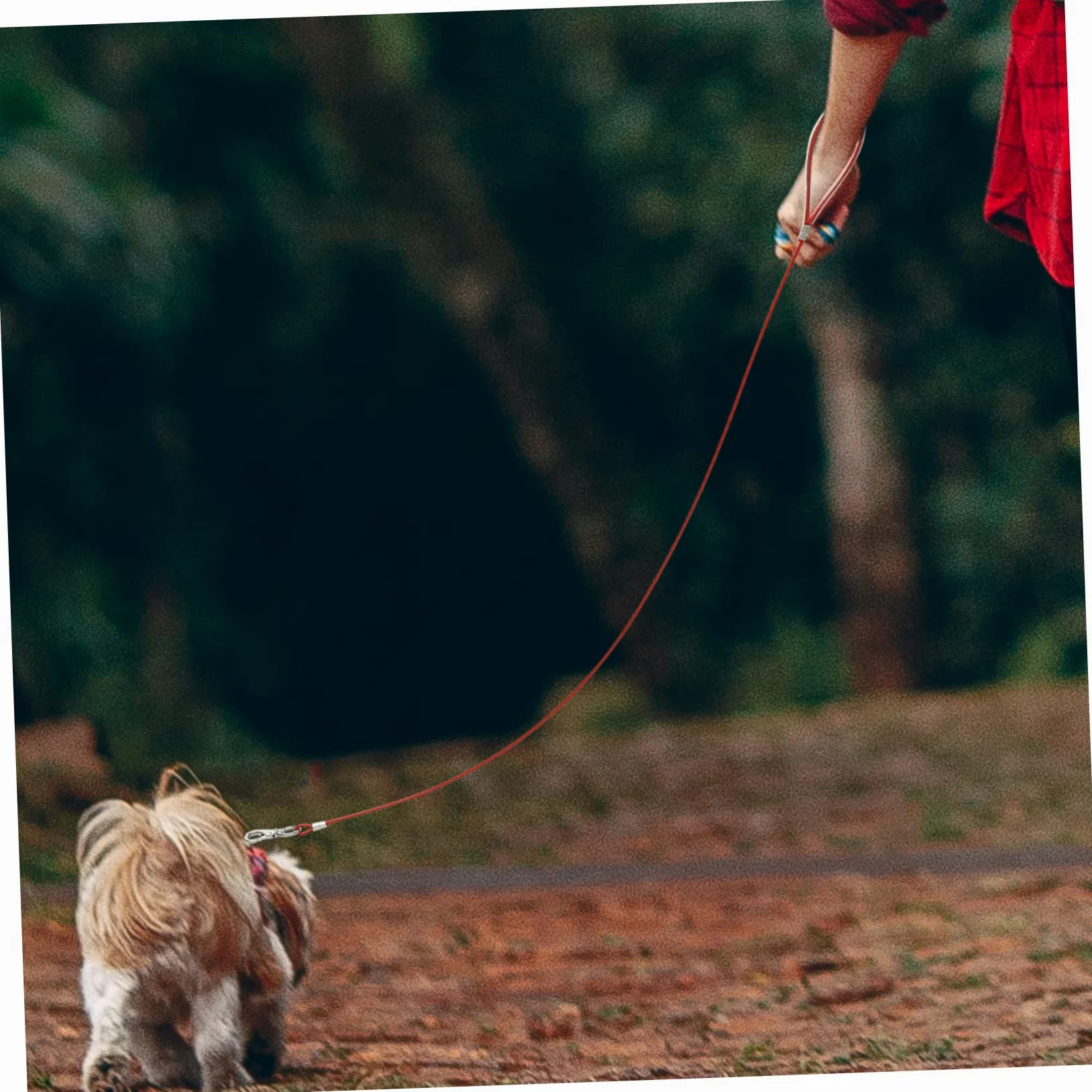 INOOMP 4pezzi Guinzaglio Per Cani Acciaio Inossidabile Resistente Ai Morsi Per Passeggiate e Attività All Aperto Design Elegante e Leggero