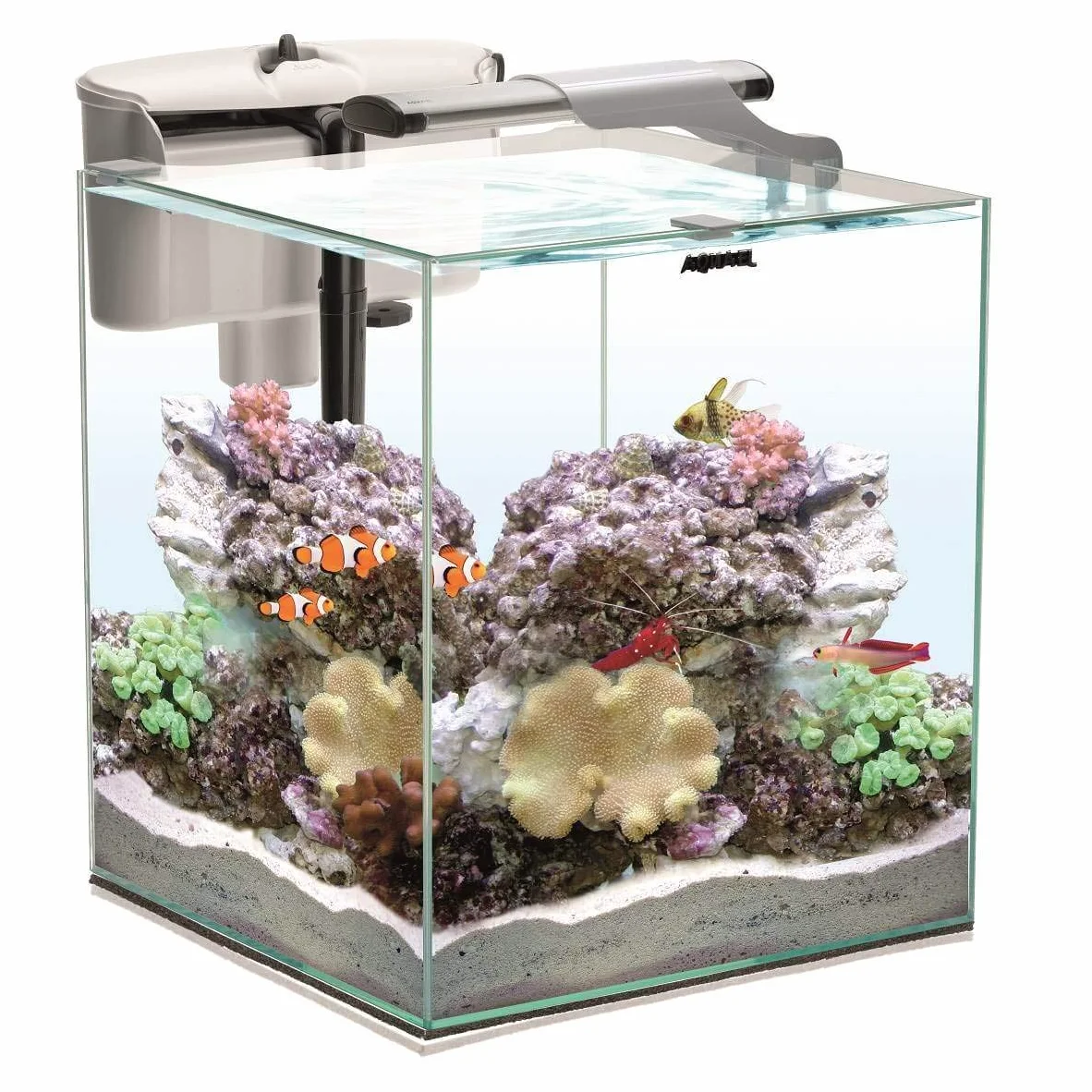 Aquael nano reef duo 35 bianco lt.49 35x35x40 cm
