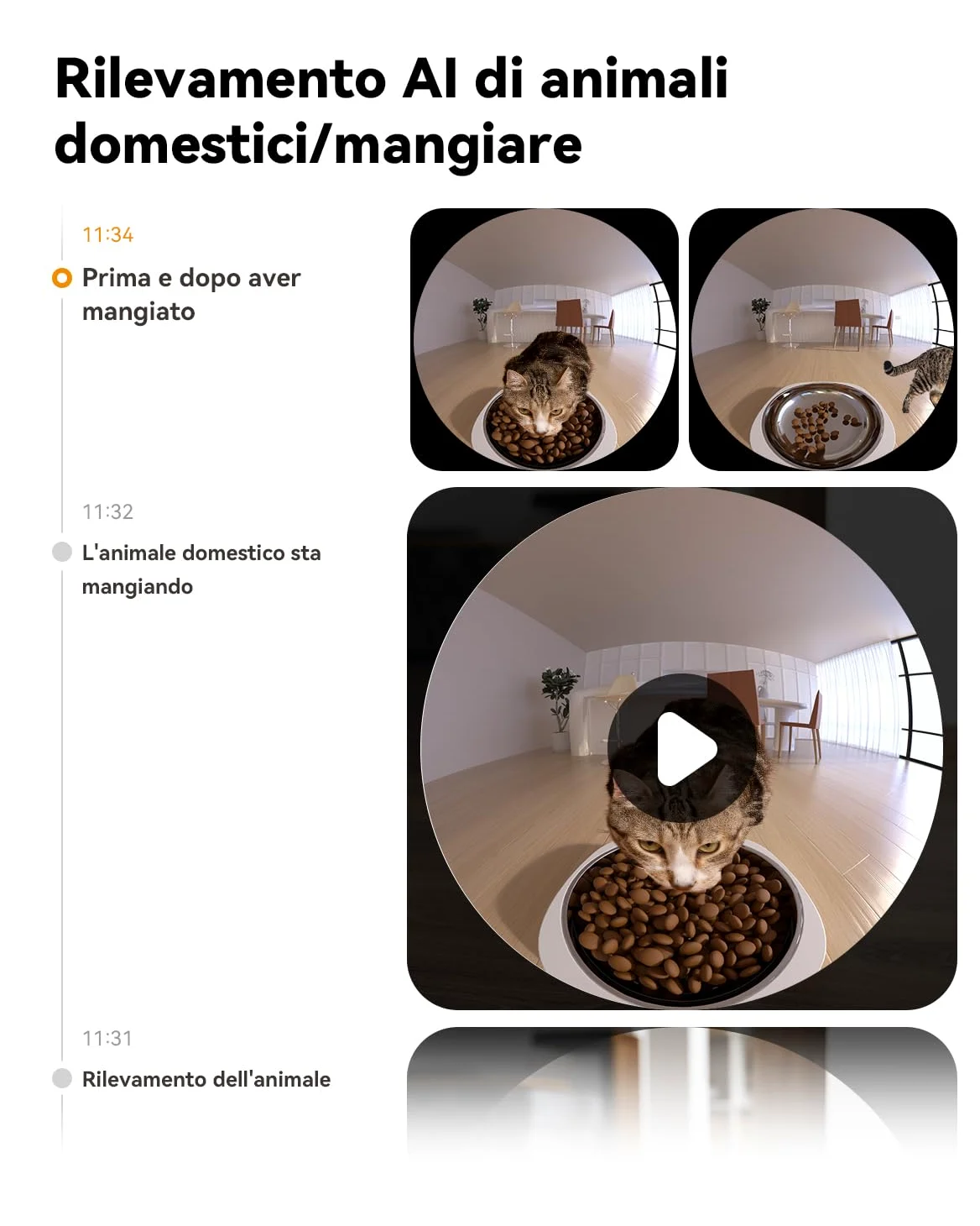 Imou 4L Distributore Automatico Cibo Gatti con 360° Telecamera, 4MP Distributore Automatico con Sensore per Cibo Basso, Tracciamento del Gatti/Cani, 2.4G WiFi, 1-15 Pasti/Giorno, Controllo APP