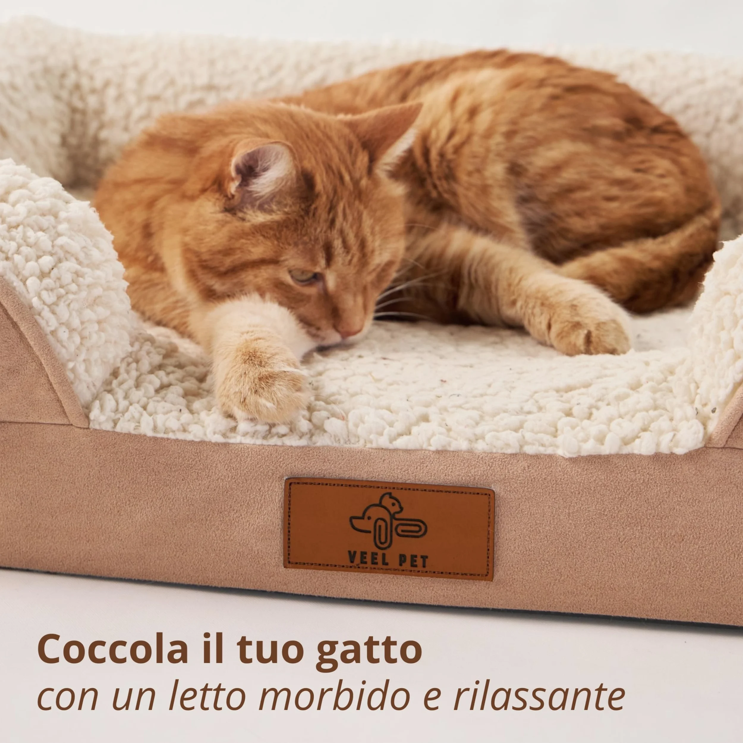Cuccia Ortopedica per Gatti con Bordi Rialzati – Letto Morbido e Lavabile per Gatto, Materasso memory foam con Fondo Antiscivolo, Fodera Sfoderabile, Cuccia Comfort Premium (SMALL)