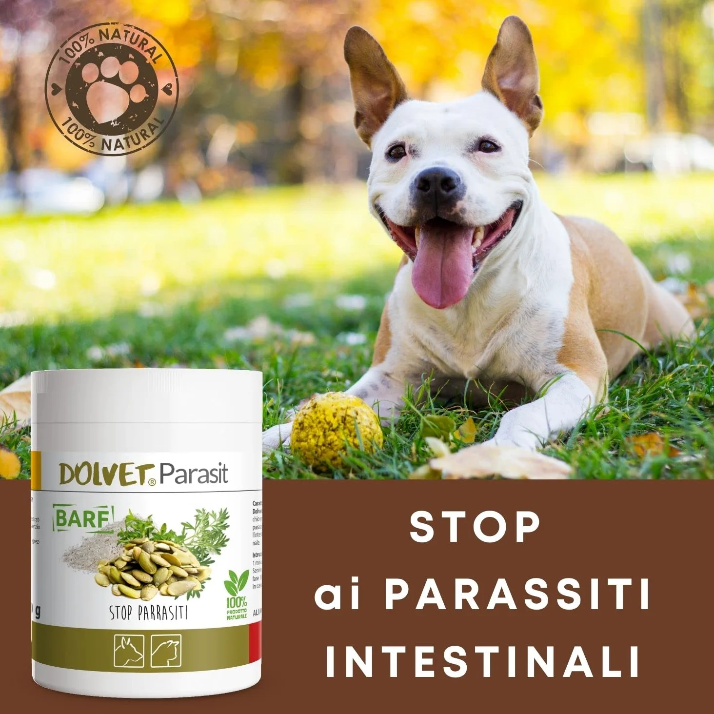 Dolvet Parasit Vermifugo per Cani e Gatti 70 grammi, Formulazione naturale sverminante, Combatte i Parassiti e Vermi dell'Intestino - Linea BARF