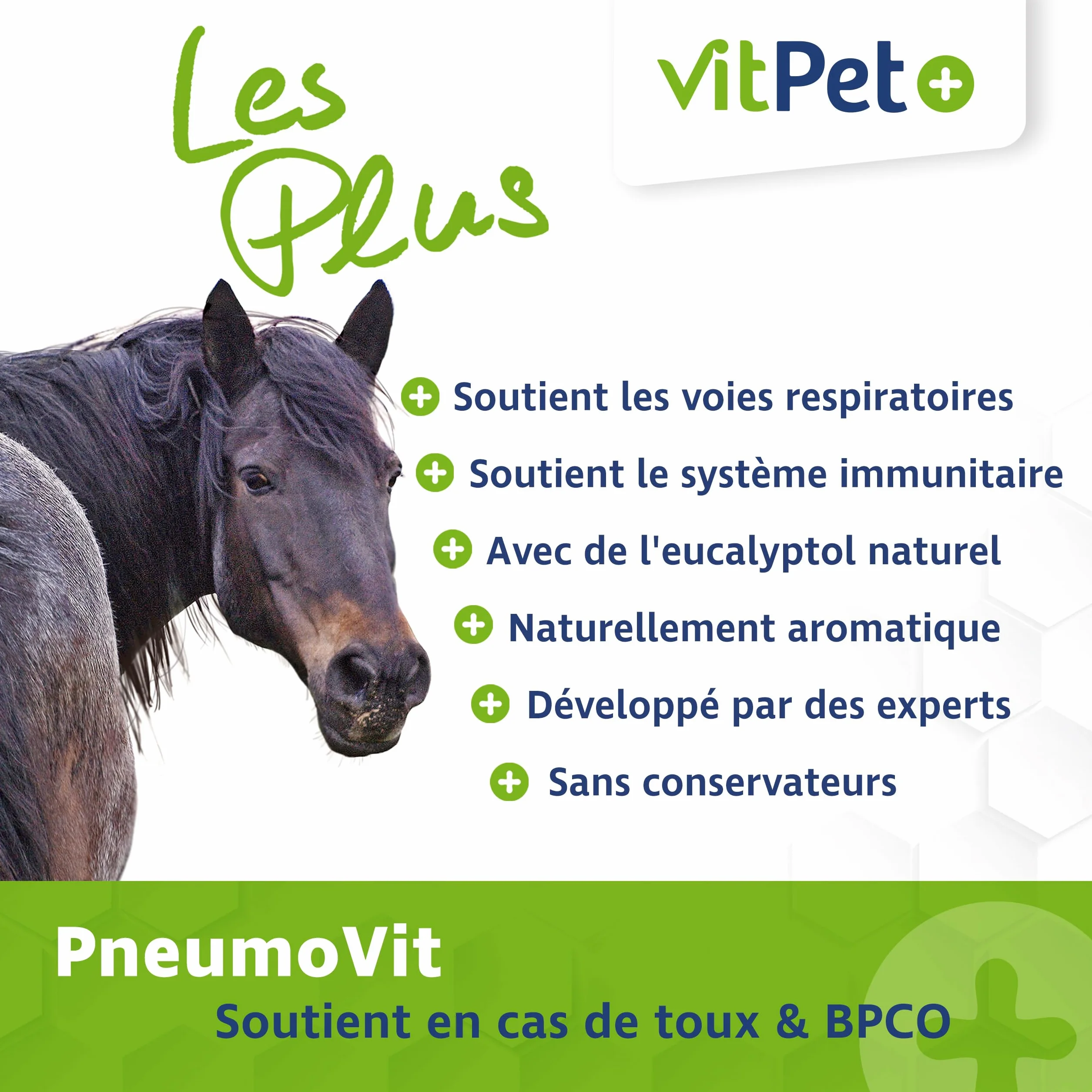 PneumoVit – Cavallo per la tosse – 1,2 kg – Con eucaliptolo naturale – Supporto respiratorio e immunitario – Facilita l'espettorazione – Espettorante e lenitivo