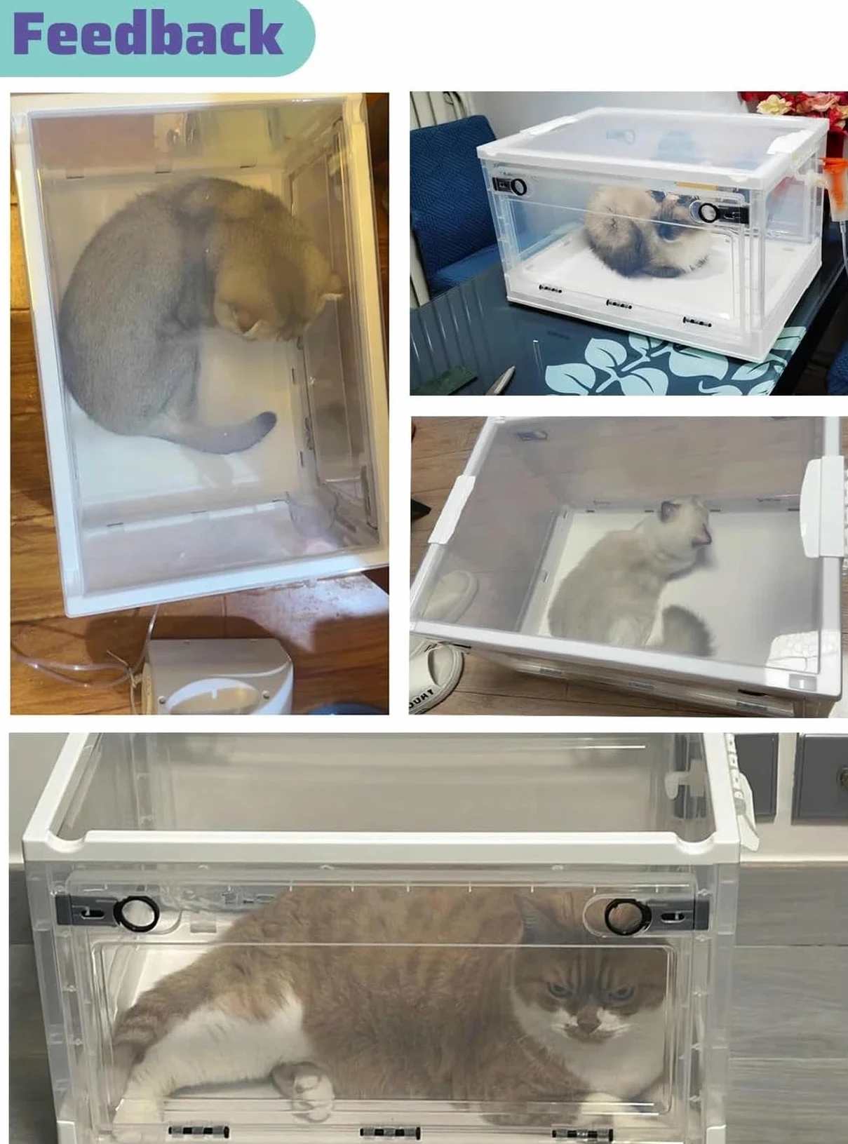 Camera portatile di ossigenoterapia per animali domestici, uso domestico e veterinario