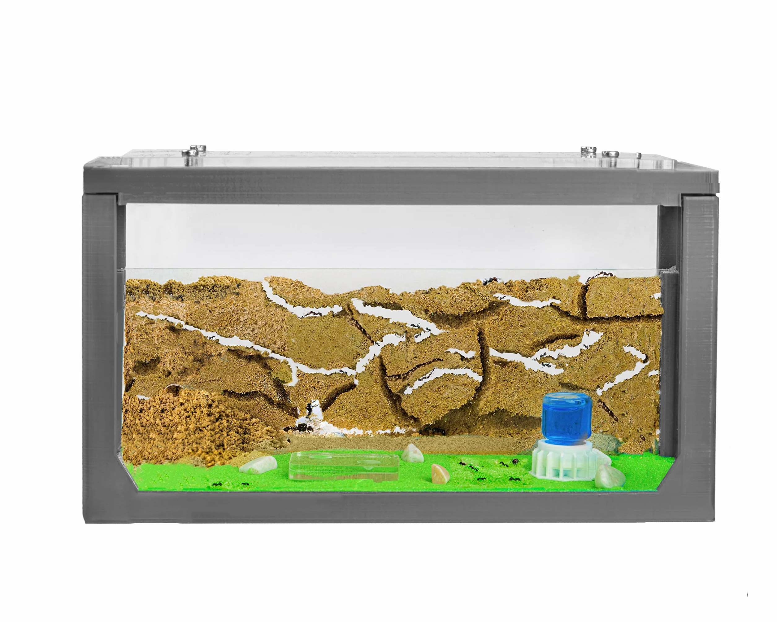 AntHouse - Formicaio Naturale di Sabbia | Kit Inizio 3D Grigio 20x10x10 cm | Formiche Incluse con Regina