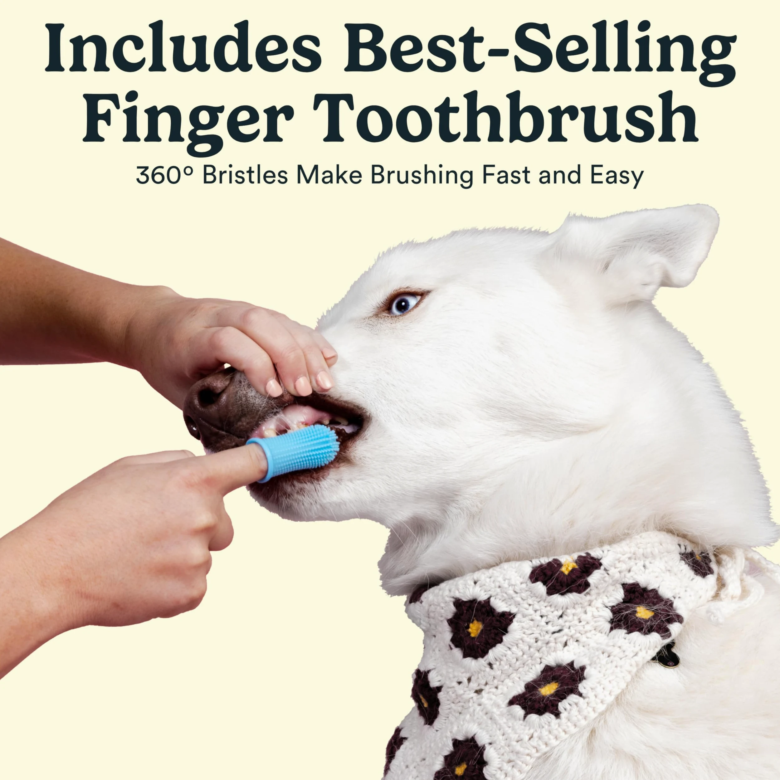 Jasper Kit di spazzolatura dei denti per cani e kit di dentifricio per cani 360 Spazzolino da denti per cani Rimozione enzimatica della placca Imporve alito cattivo Dentifricio naturale per animali