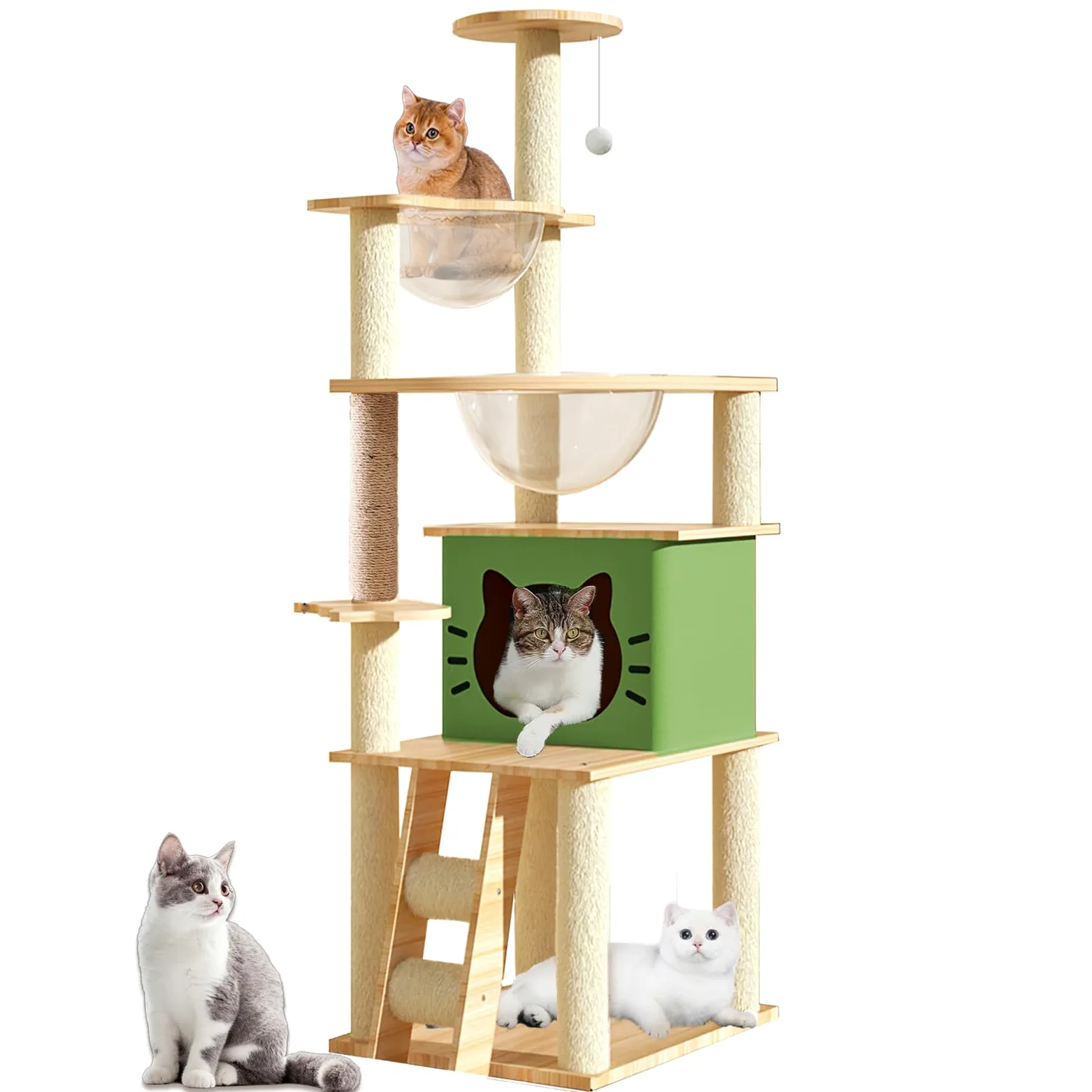 Tiragraffi per gatti,Con Cuccia gatto,2 Capsula spaziale trasparente,Gioco per Palla,Trespolo per Piattaforma,Scala per,Tiragraffi per gatti adulti(145CM)
