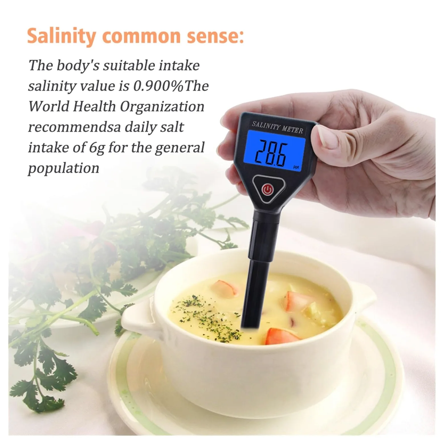 Misuratore di salinità portatile Salinometro Halometer Calibro di sale Salamoia Salamoia Acqua di mare Tester di salinità alimentare Concentrazione di sale Tester dell'acqua