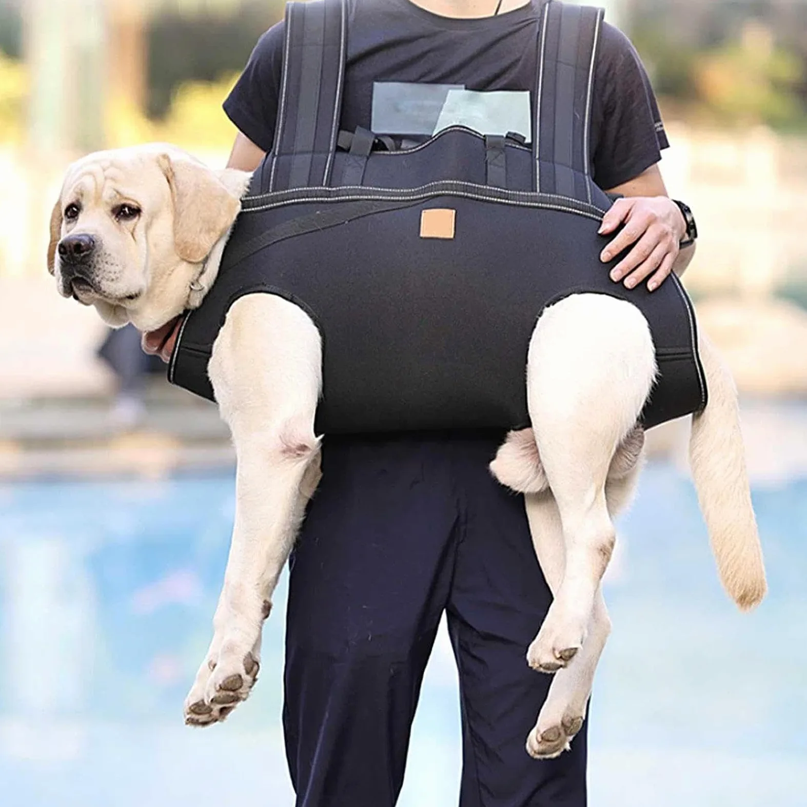 Imbracatura Per Sollevamento Cani Pettorina Regolabile Traspirante | Fascia di Supporto Per Cani Anziani E Razze Grandi, Alla Mobilità, Riabilitazione, Passeggiate Quotidiane,