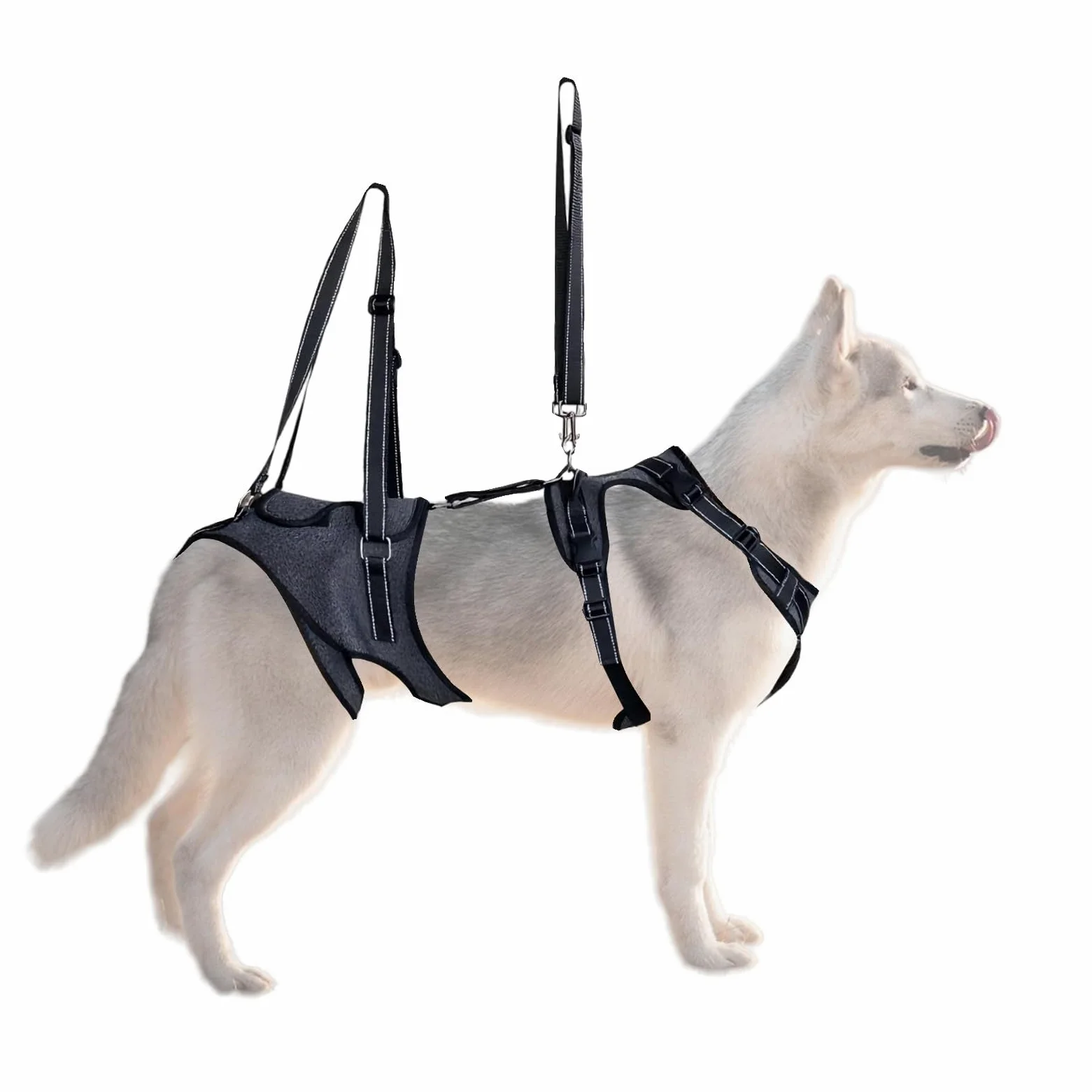 Imbracatura di sollevamento Gilet Regolabile Di Supporto Per Il Trasporto | Gilet assistenza mobilità cani con maniglia Riabilitazione Addestramento Uscite Veterinario Scale