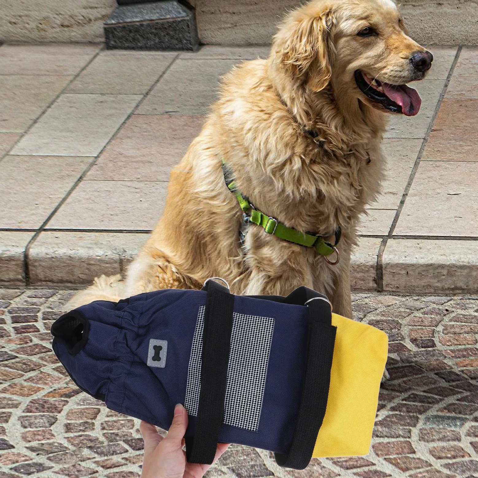 Carrellino per Cani Disabili Regolabile in Poliestere con Ruote Silenziose, Facile da Usare per Passeggiate Indoor e Outdoor di Animali Domestici Anziani