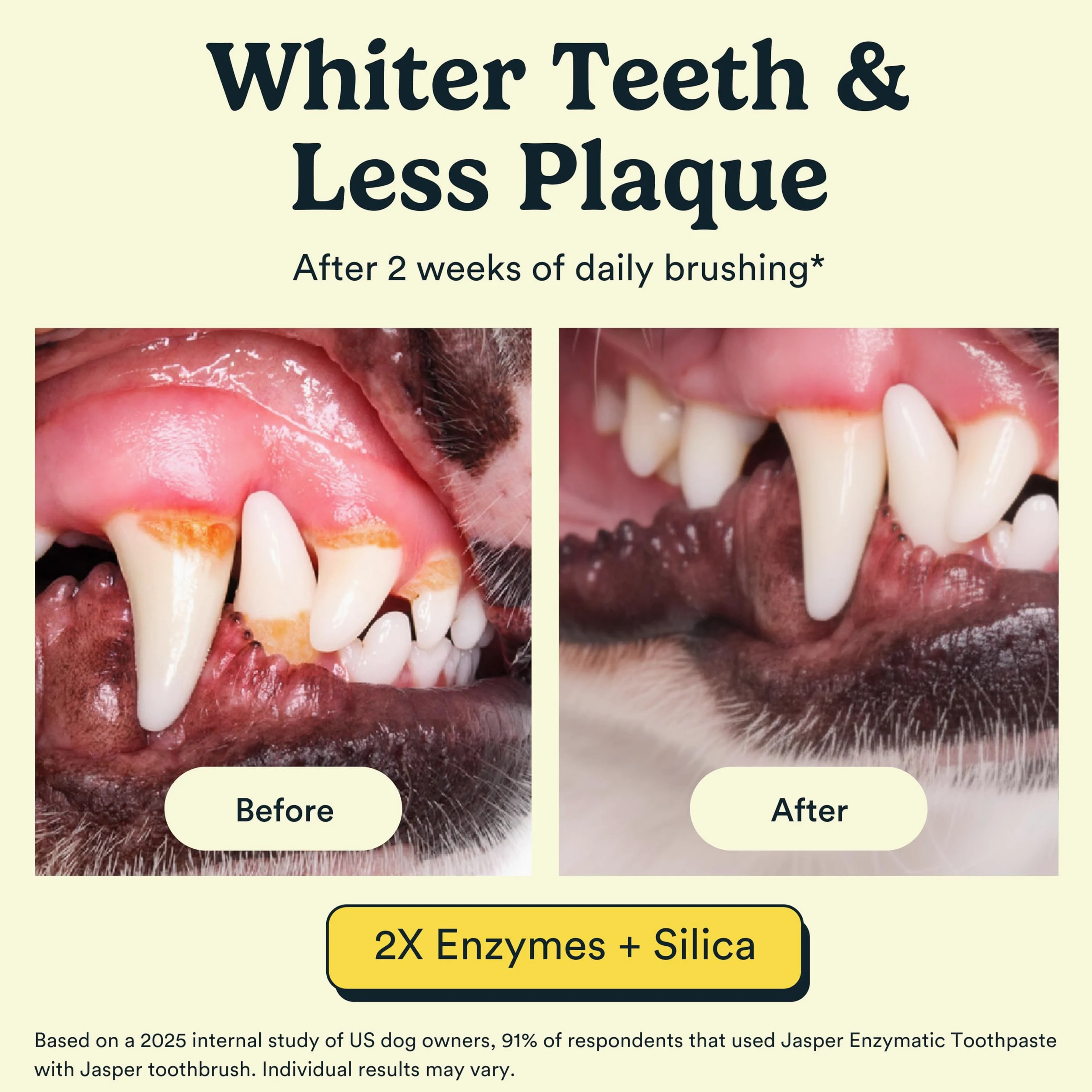 Jasper Kit di spazzolatura dei denti per cani e kit di dentifricio per cani 360 Spazzolino da denti per cani Rimozione enzimatica della placca Imporve alito cattivo Dentifricio naturale per animali