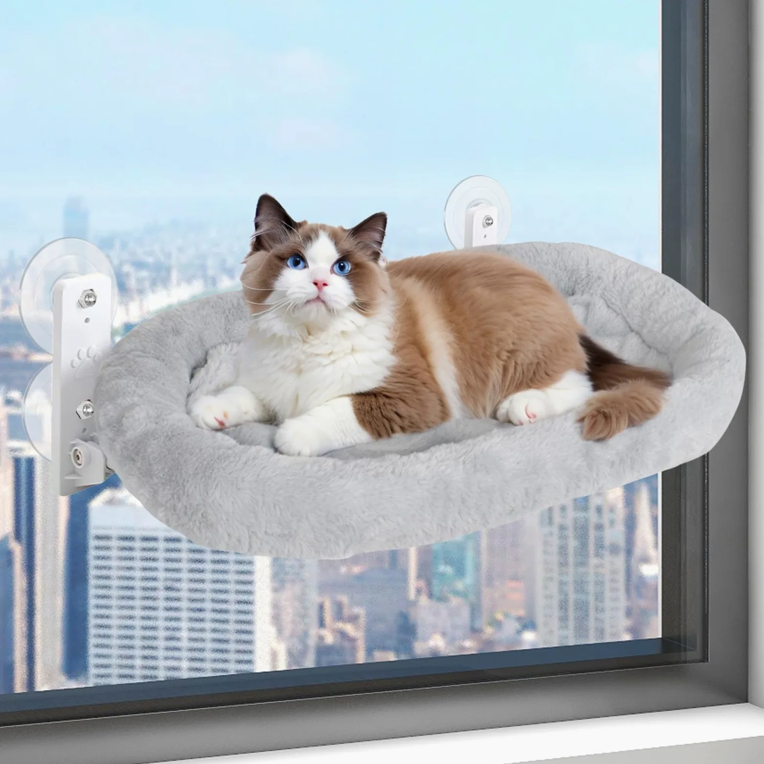 Amaca con finestra per gatti, posatoio per gatti a sdraio con ventose potenti e tappetino morbido, letto sospeso, sacco a pelo per gatti ideale per esplorare e rilassarsi, 52 x 30 cm (grigio)