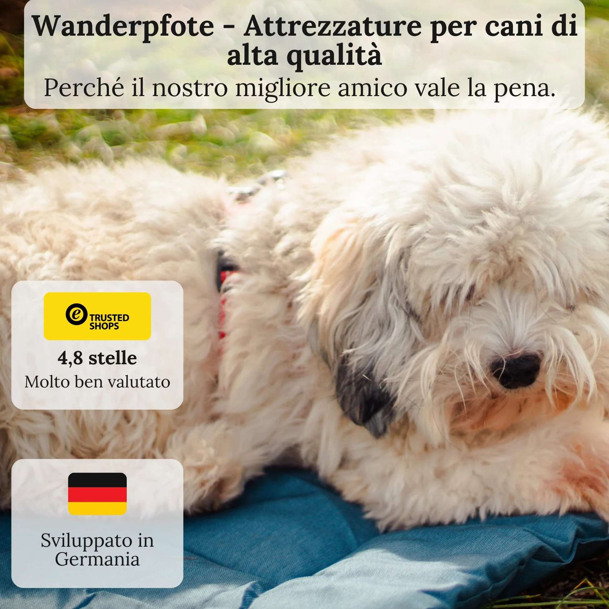 Tappetino per cani da viaggio, arrotolabile (Marrone, M)