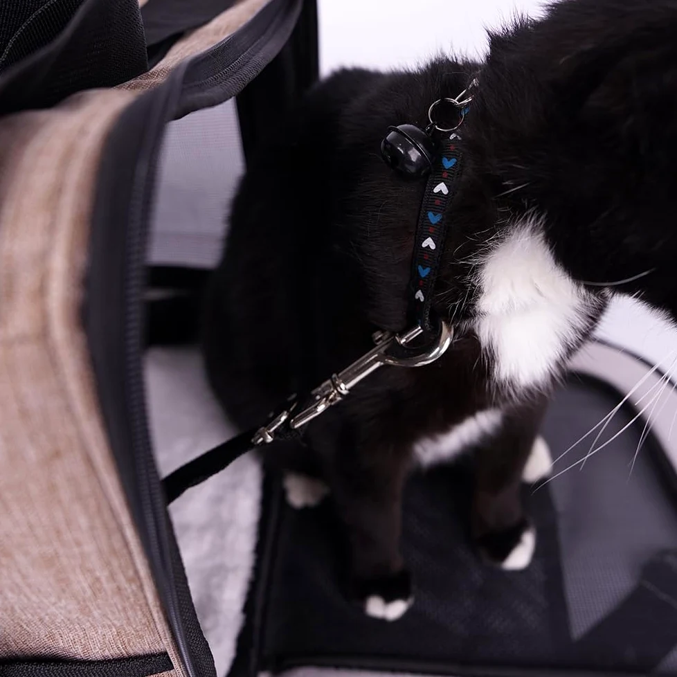 Trasportino per cani e gatti, borsa porta-cane traspirante per animali domestici, trasportino da viaggio con ventilazione, tasche laterali, due porte con tracolla per auto (Marrone, 35x40x45cm)