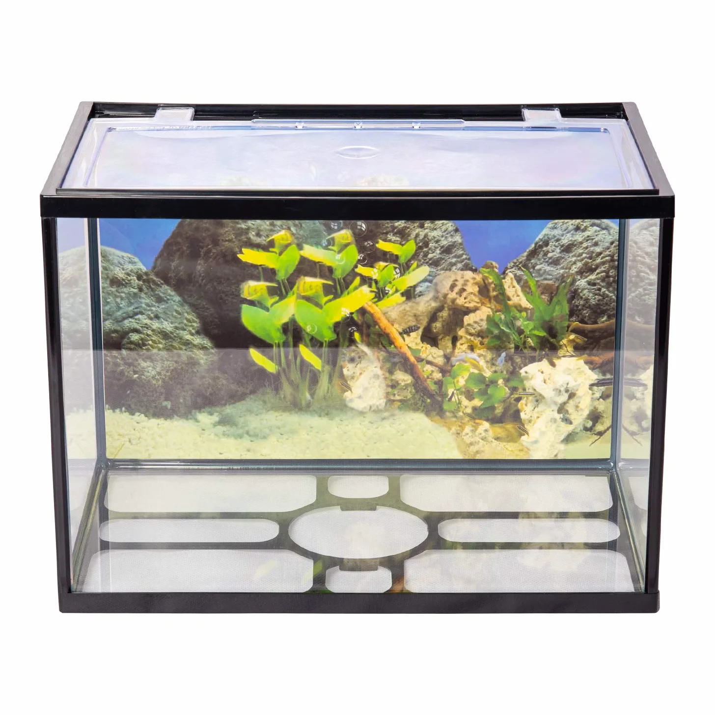 AQPET One Mini Acquario in Vetro Colore Nero 20 Litri Completo di Accessori 36x22x26h Inclusa Luce a LED