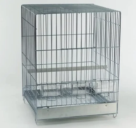 GABBIA PER UCELLI PAPPAGALLI,CACATUA,MERLI E PARROCCHETTI DOMUS MOLINARI MADE IN ITALY 41X41X56cm