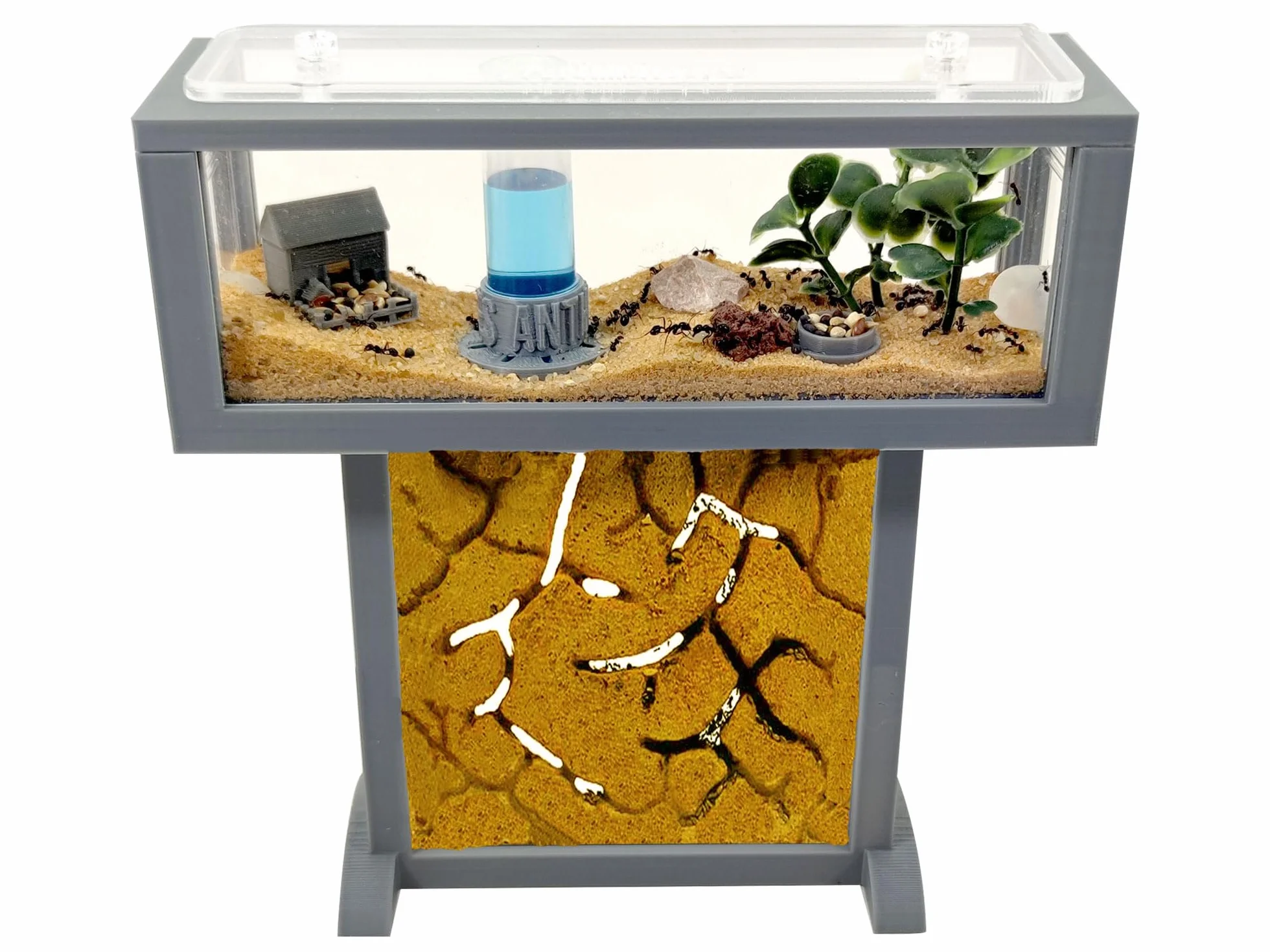 Kit per formiche T- Mini di sabbia naturale, 15 x 5 x 16 cm, formiche gratis incluse┃da 20-30 formiche