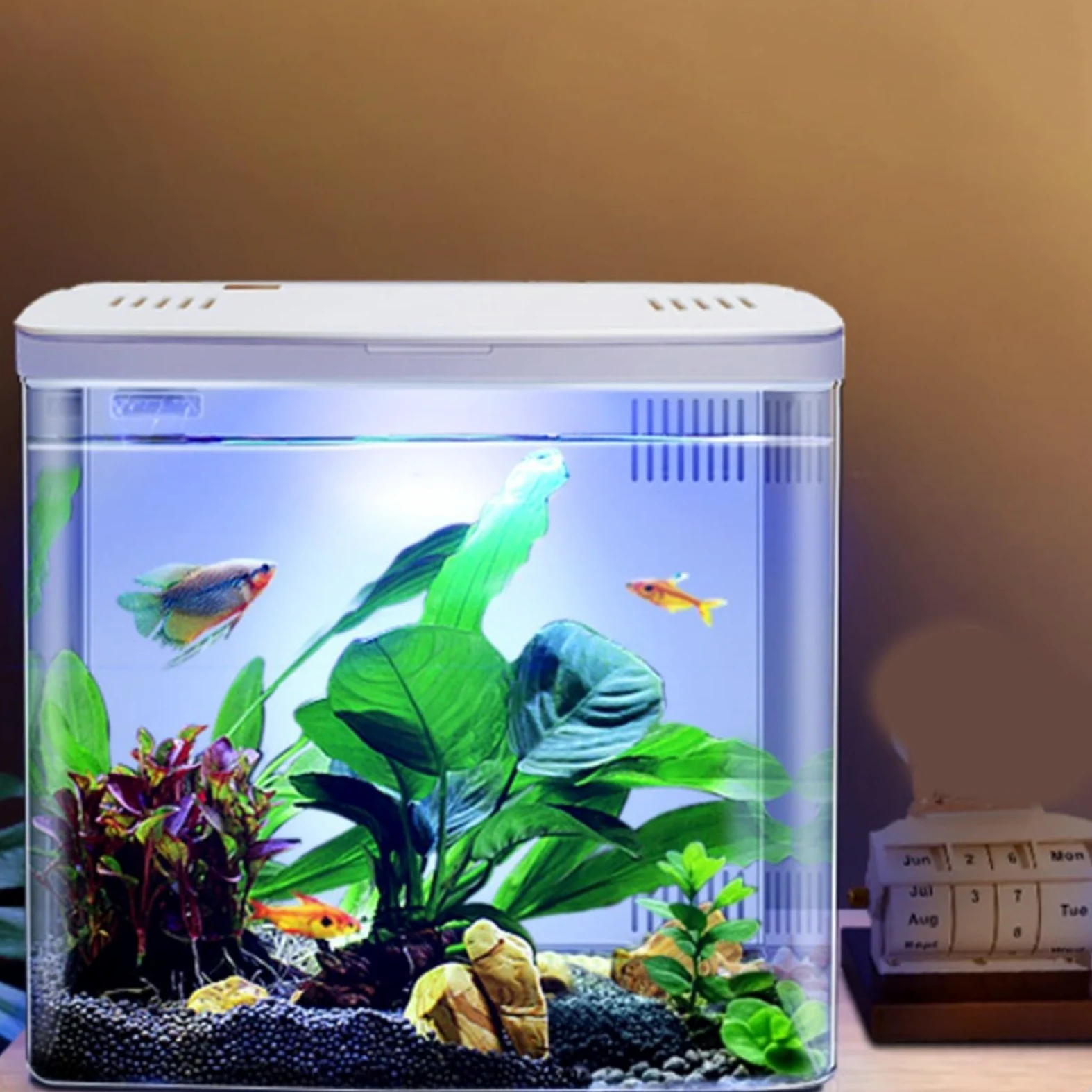 RichVibe Acquario Desktop 20x20x14cm in Acrilico con Luce LED Sistema di Filtrazione a 3 Strati Pompa Silenziosa per Pesci Betta, Gamberetti, Pesci Rossi Nero Bianco (bianco)